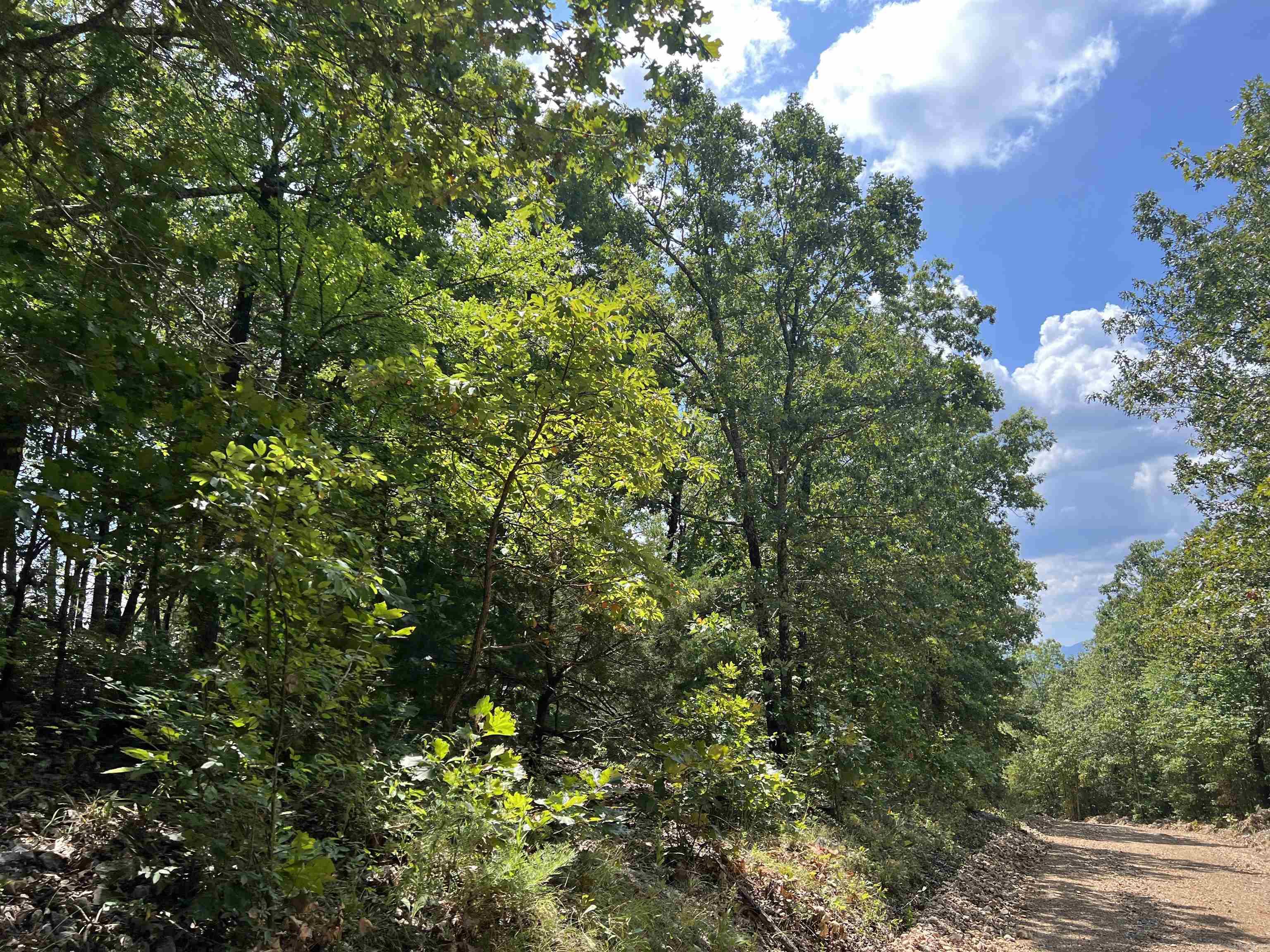  NC 4055  Western Grove, AR
