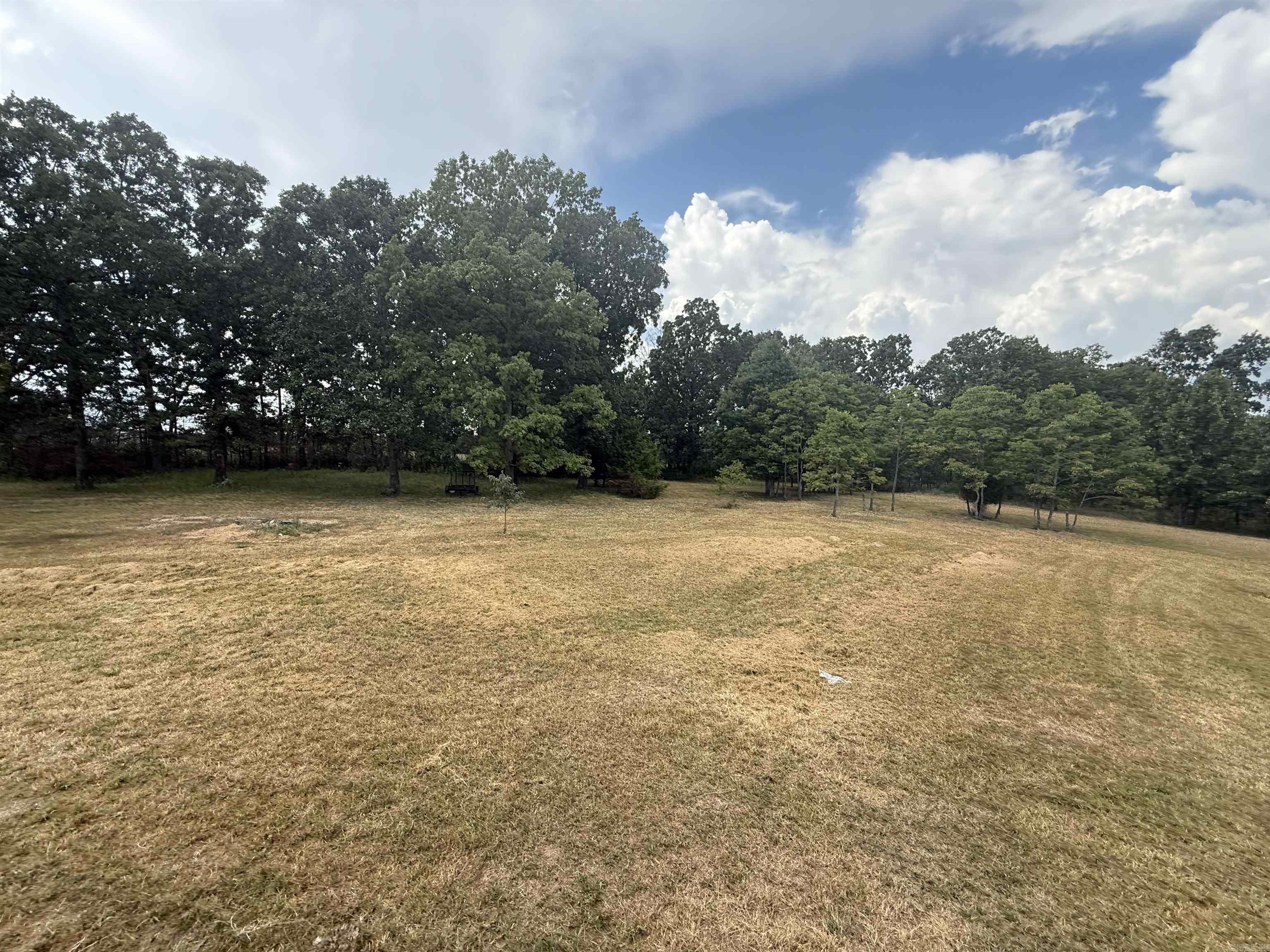 81 Union Hill Road  Mammoth Spring, AR