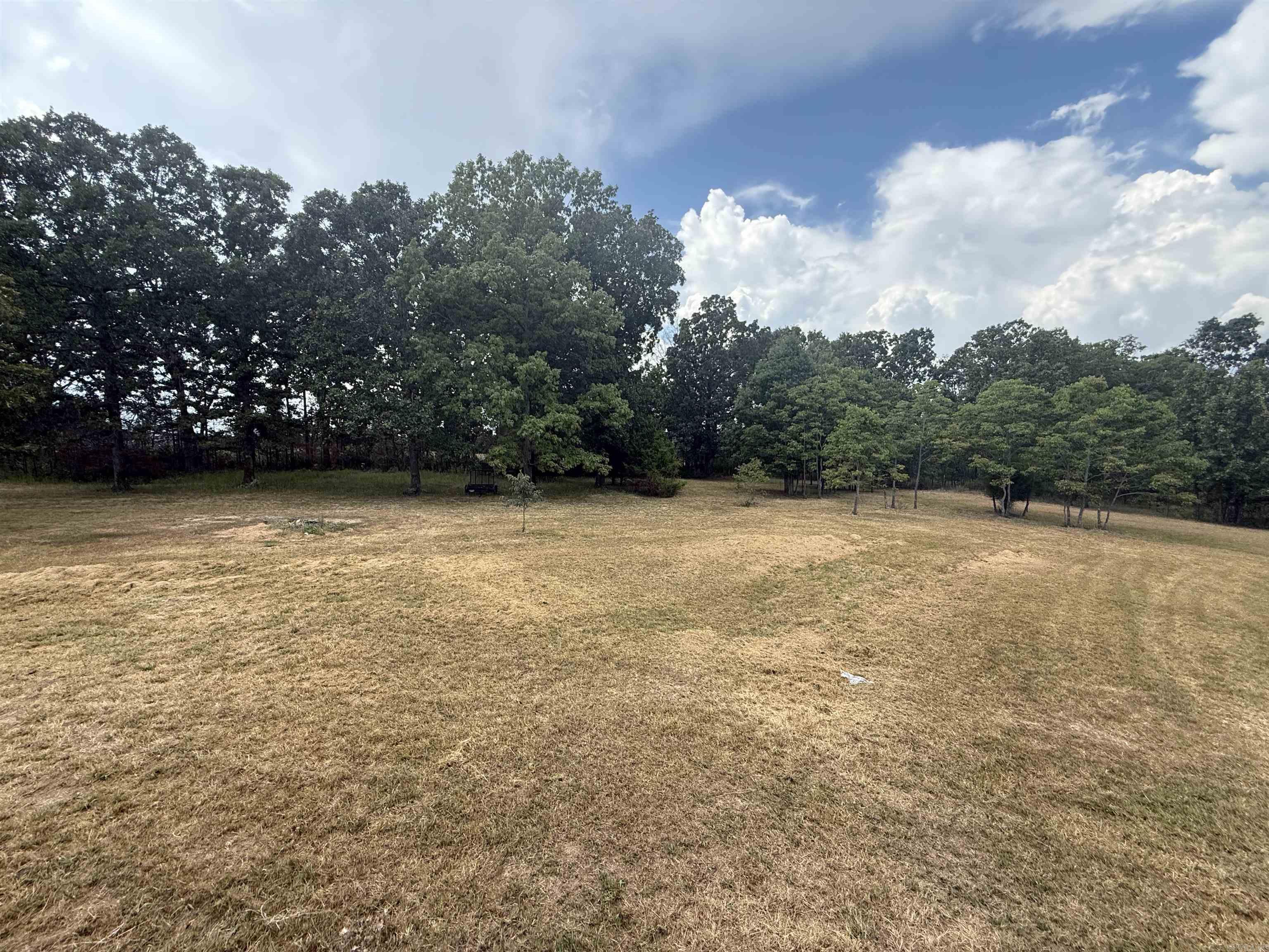 81 Union Hill Road  Mammoth Spring, AR