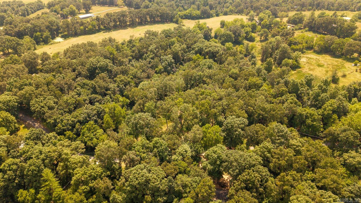 Lot 10 Riverbend Road  Mammoth Spring, AR