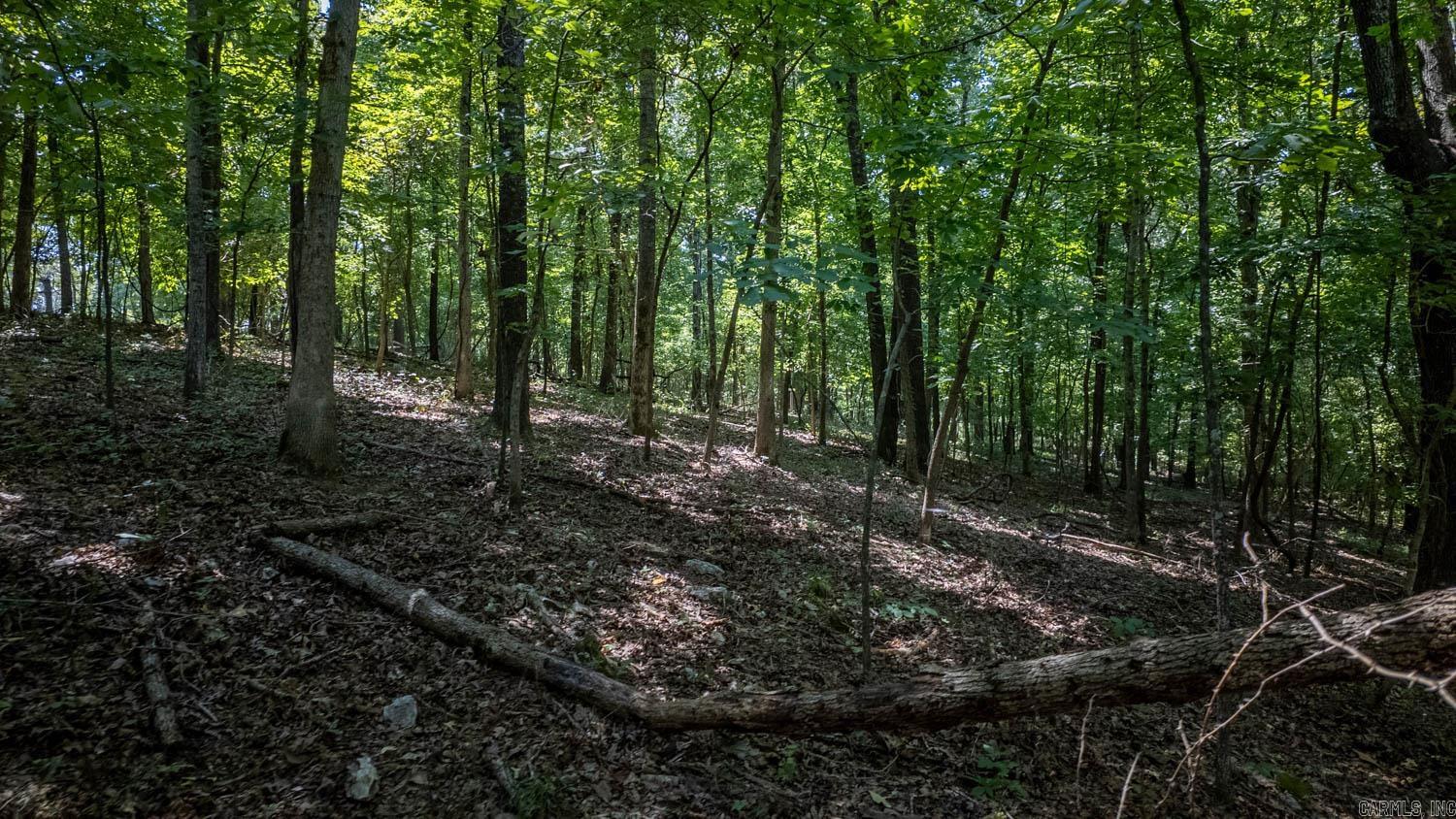 Lot 10 Riverbend Road  Mammoth Spring, AR