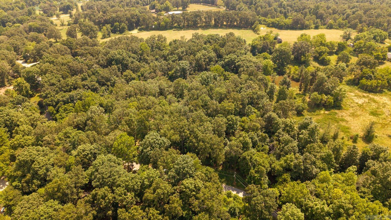 Lot 11 Riverbend Road  Mammoth Spring, AR