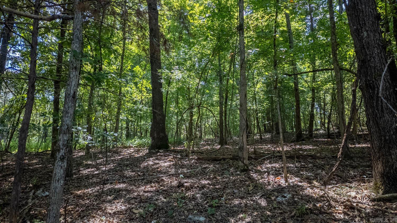 Lots 12-14 Riverbend Road  Mammoth Spring, AR