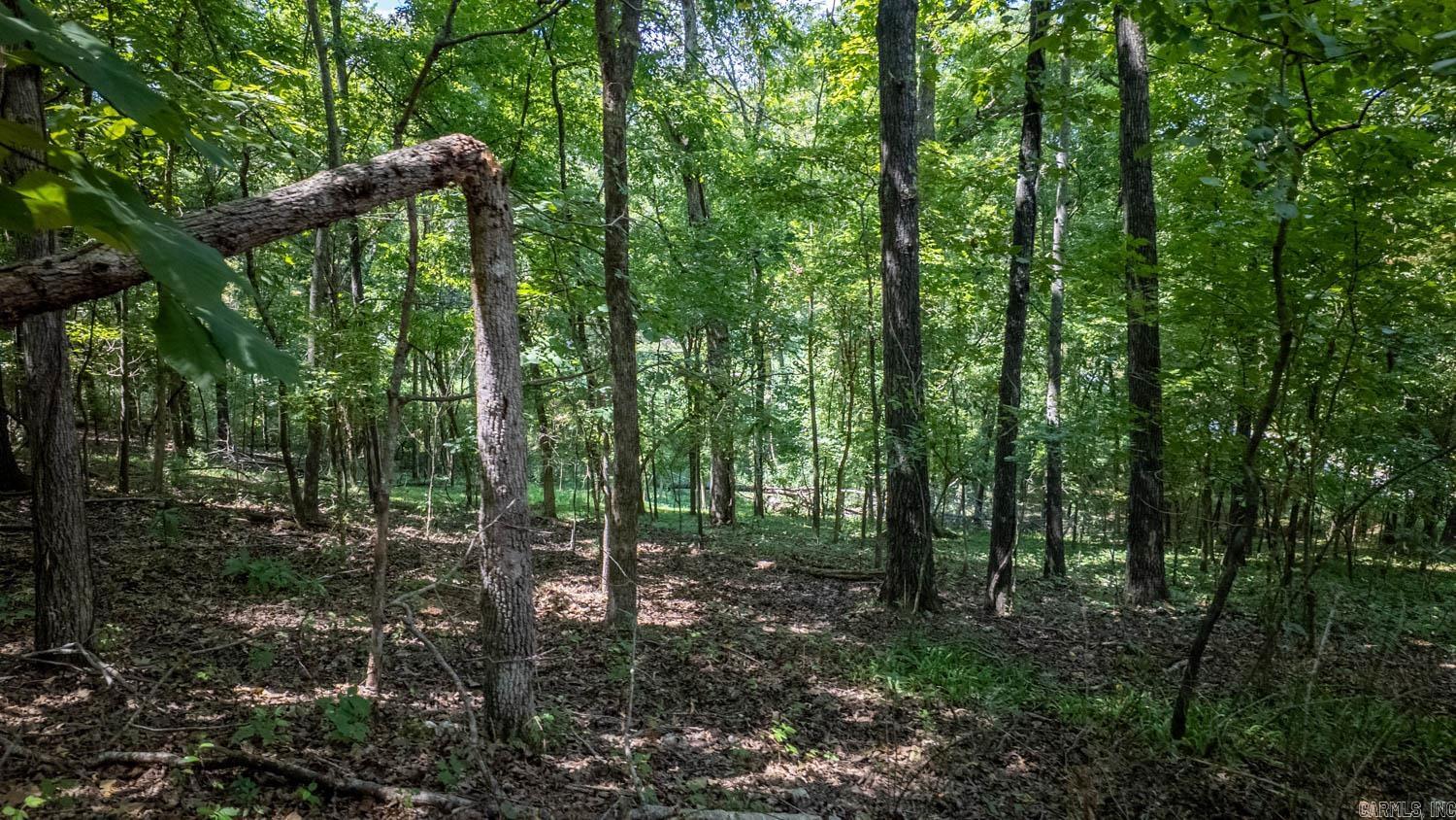 Lots 12-14 Riverbend Road  Mammoth Spring, AR