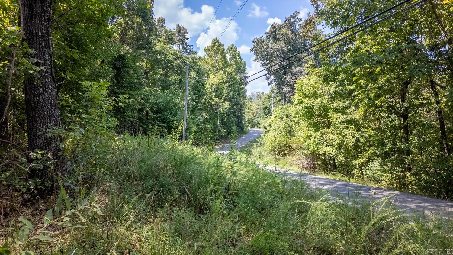 Lots 12-14 Riverbend Road  Mammoth Spring, AR
