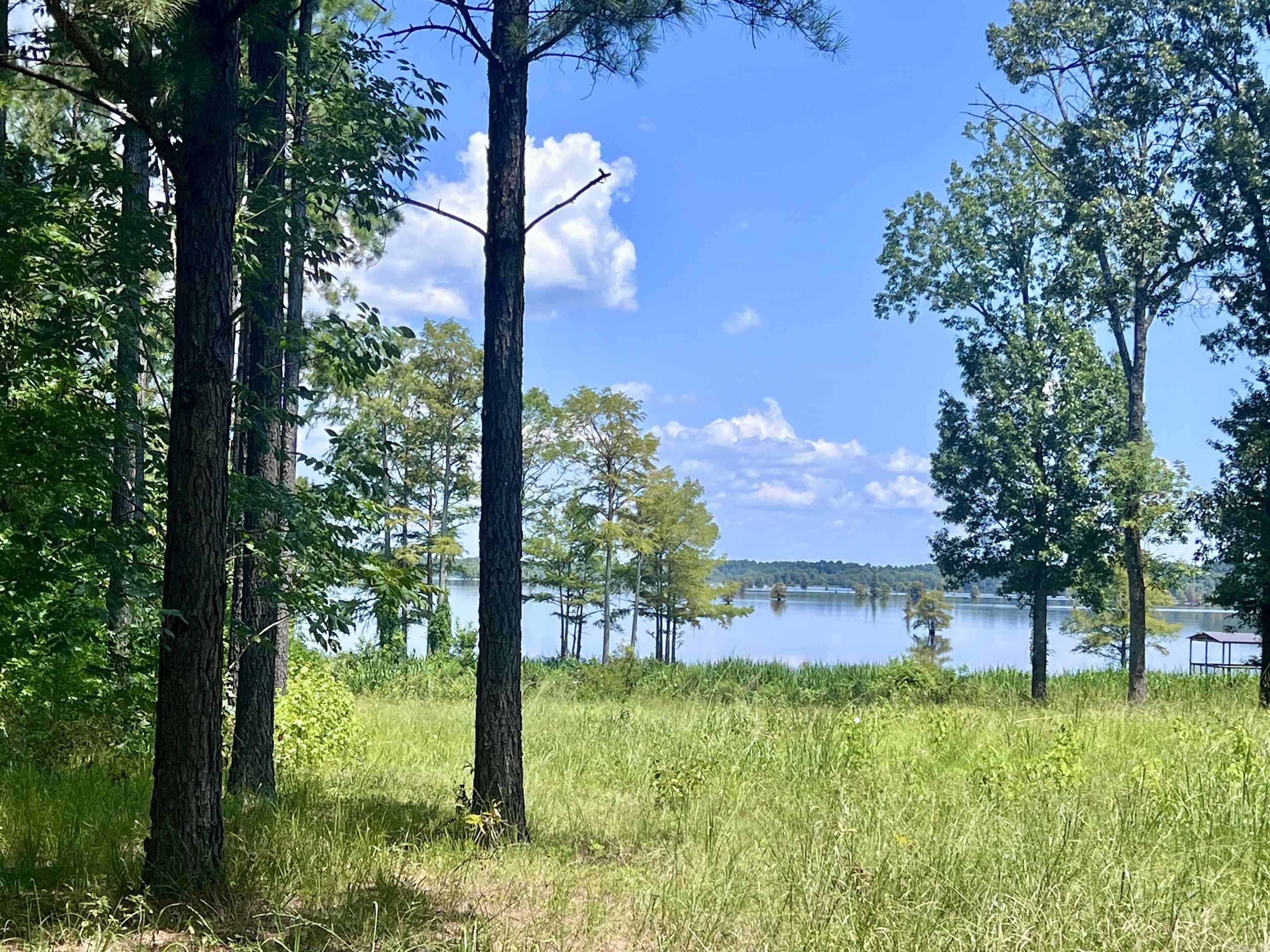 LOT 4 EAGLE BROOK  Lewisville, AR