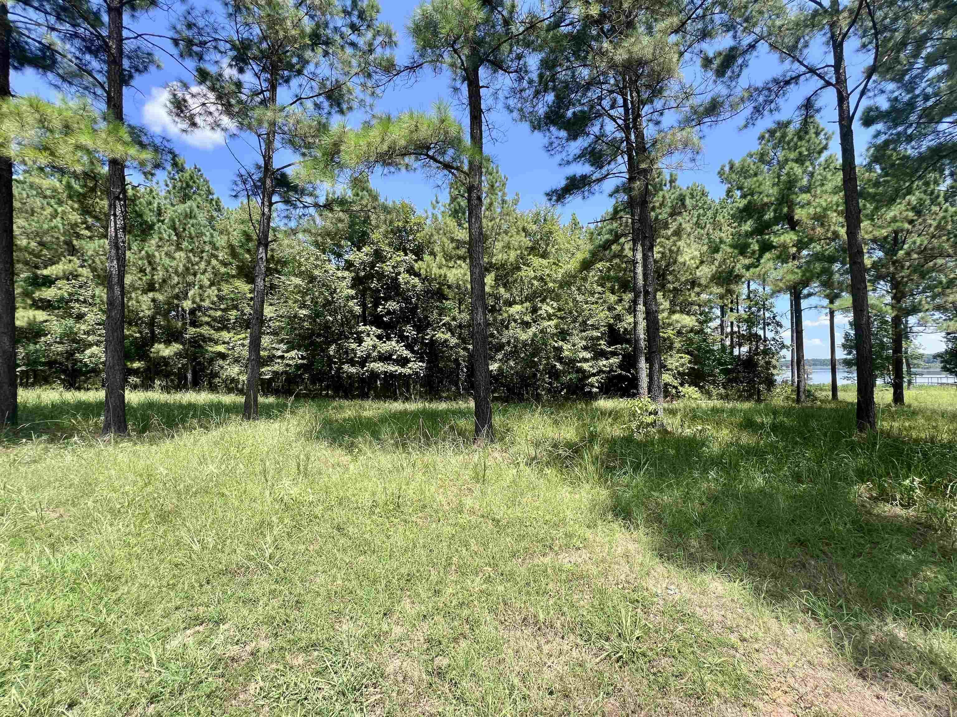LOT 4 EAGLE BROOK  Lewisville, AR
