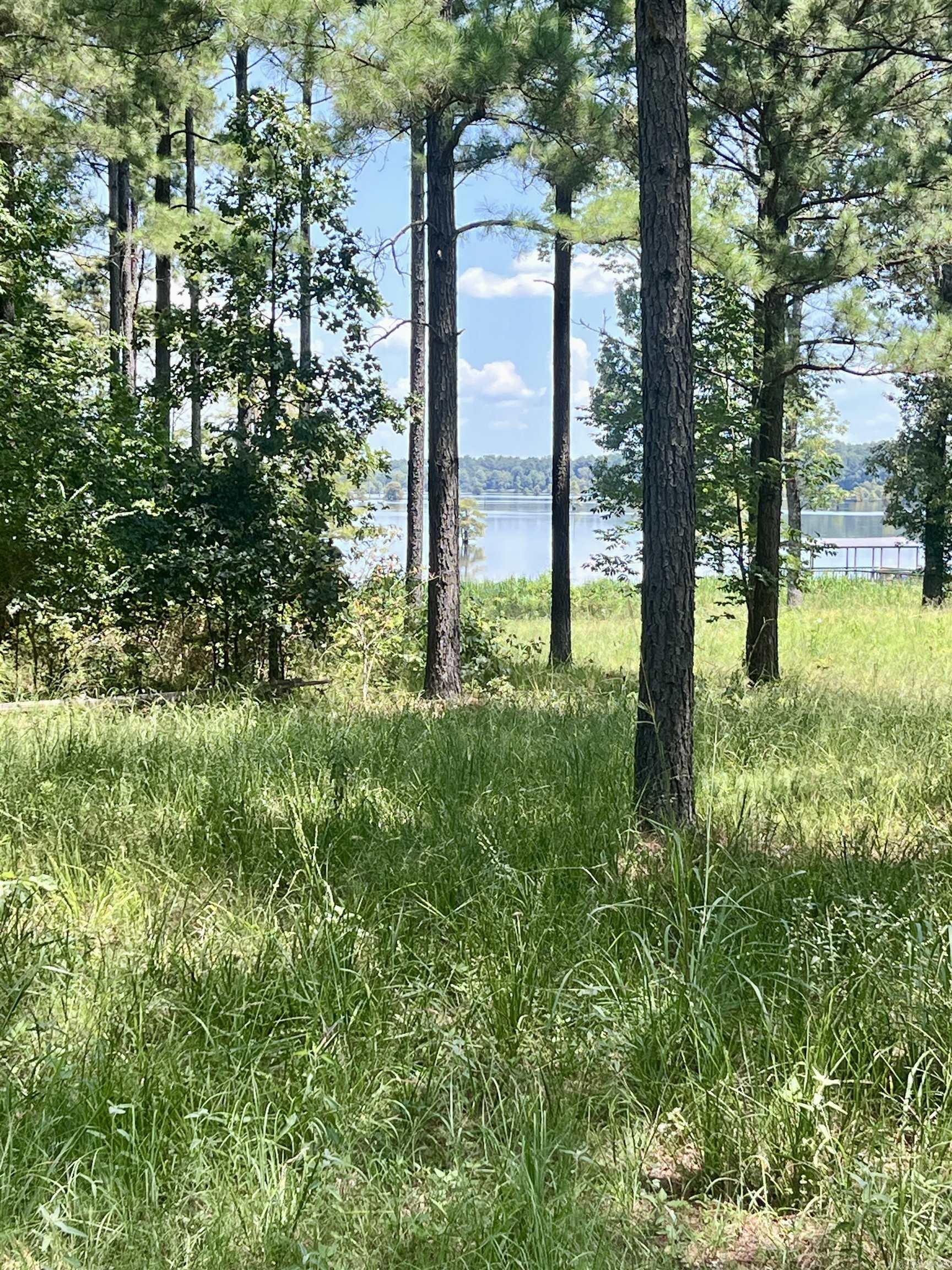 LOT 4 EAGLE BROOK  Lewisville, AR