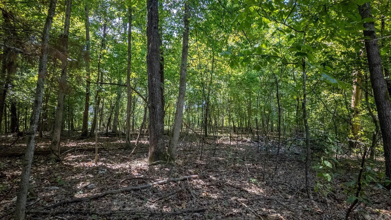 Lots 17-19 Riverbend Road  Mammoth Spring, AR