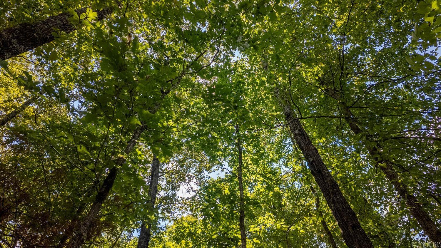 Lots 17-19 Riverbend Road  Mammoth Spring, AR