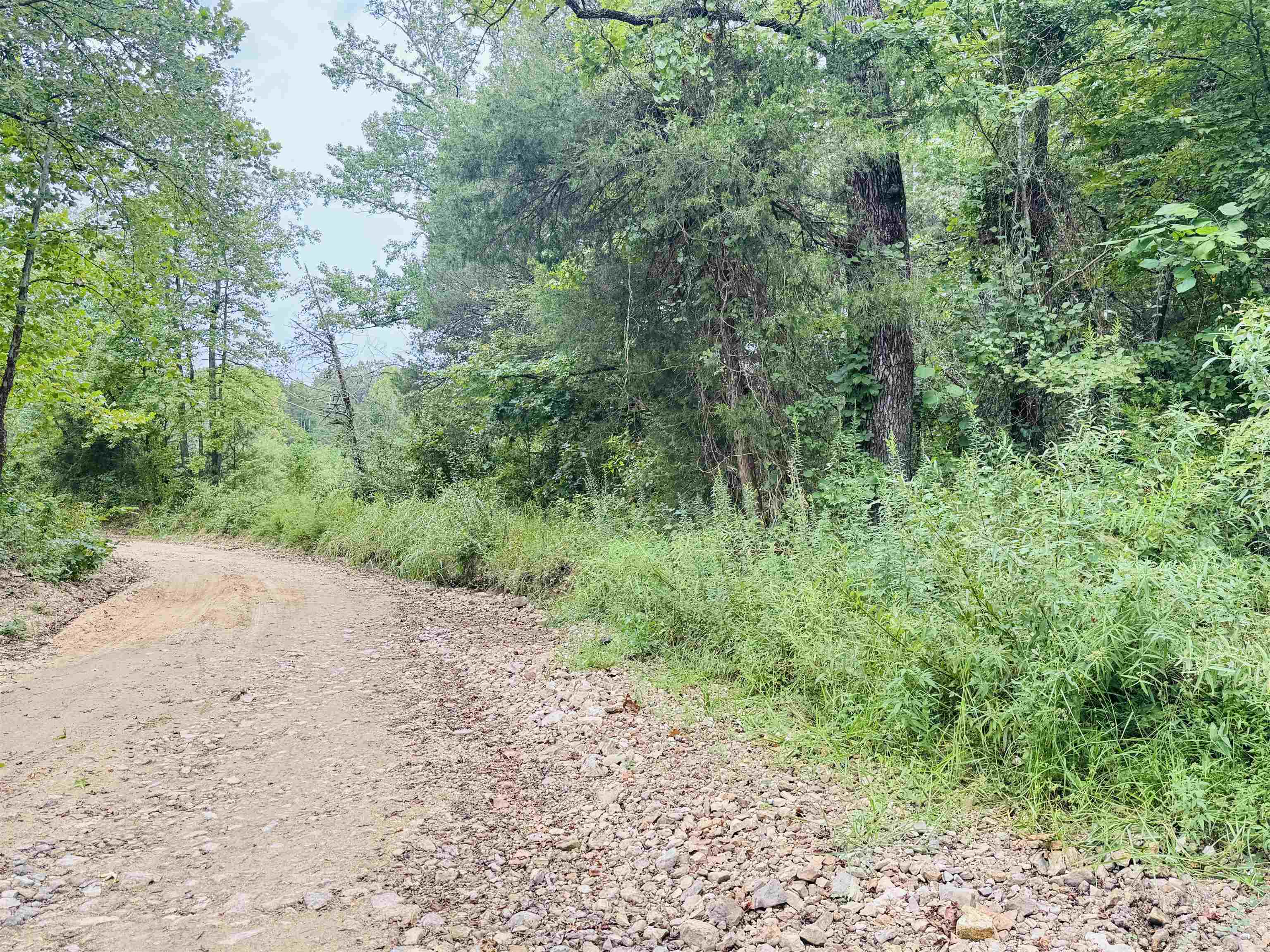 4217 Mill Creek  Melbourne, AR