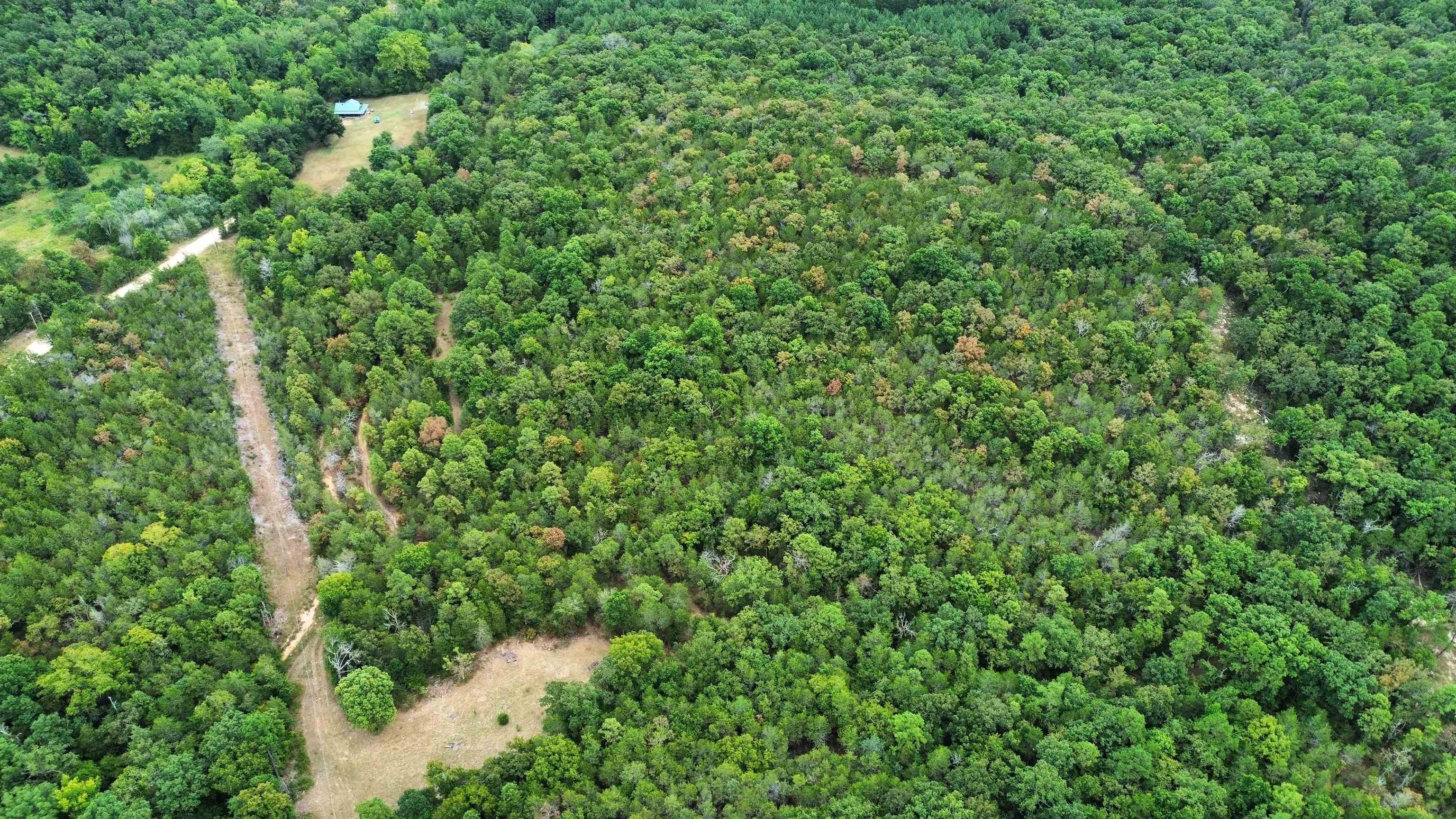 4217 Mill Creek  Melbourne, AR