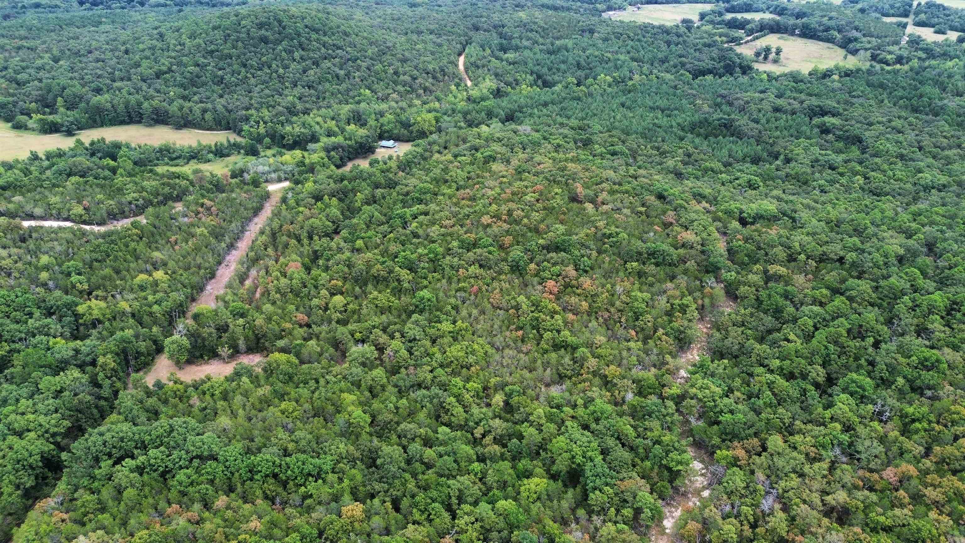 4217 Mill Creek  Melbourne, AR