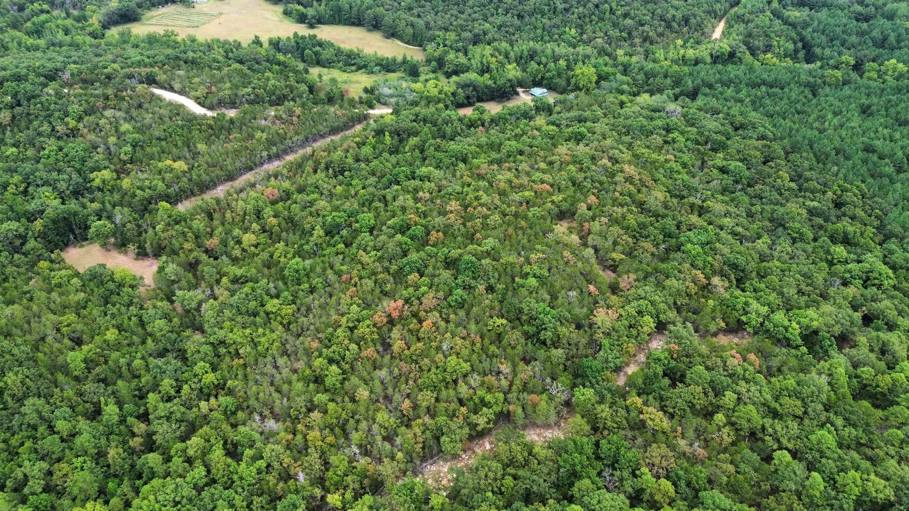 4217 Mill Creek  Melbourne, AR