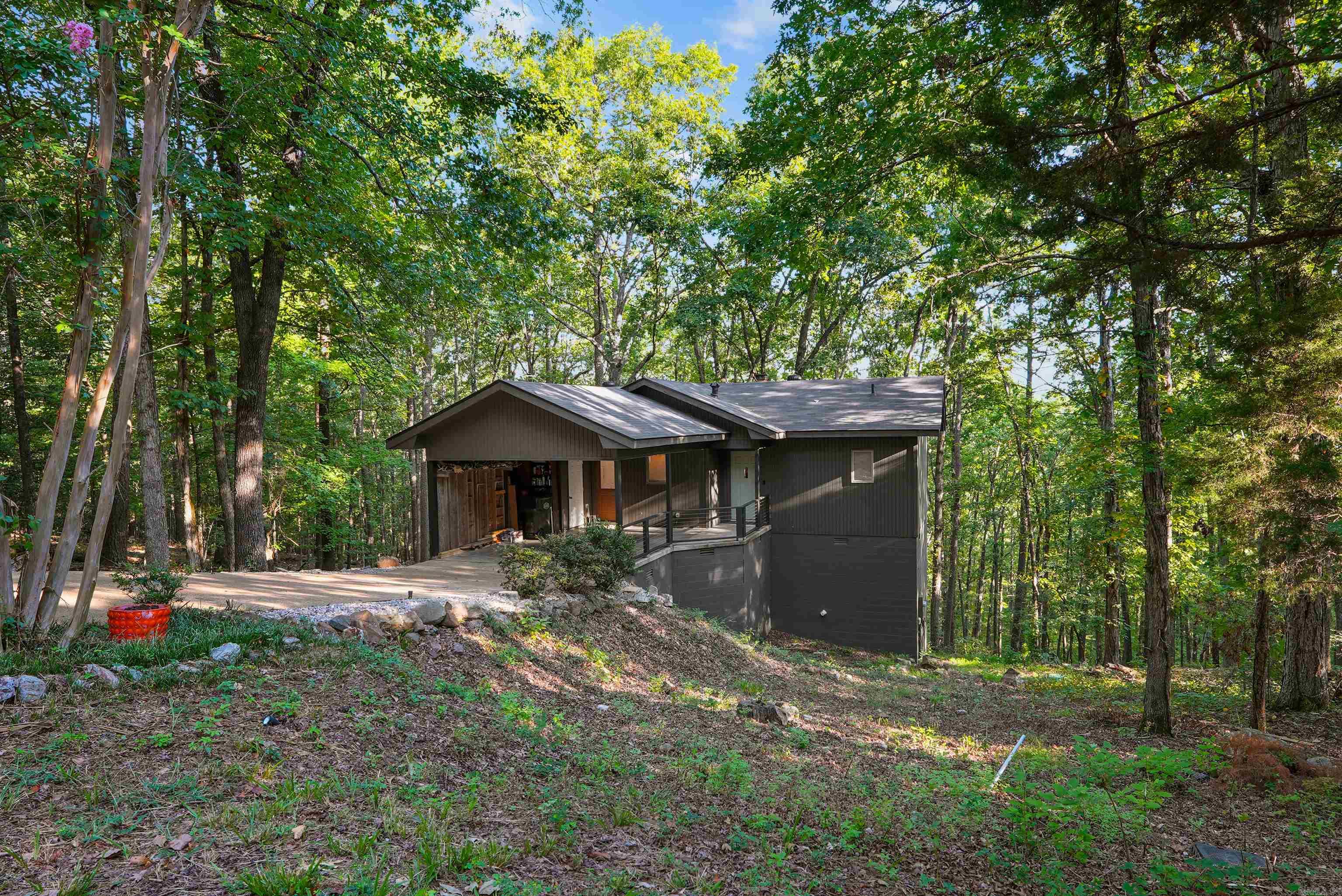 9 Trenza  Jessieville, AR