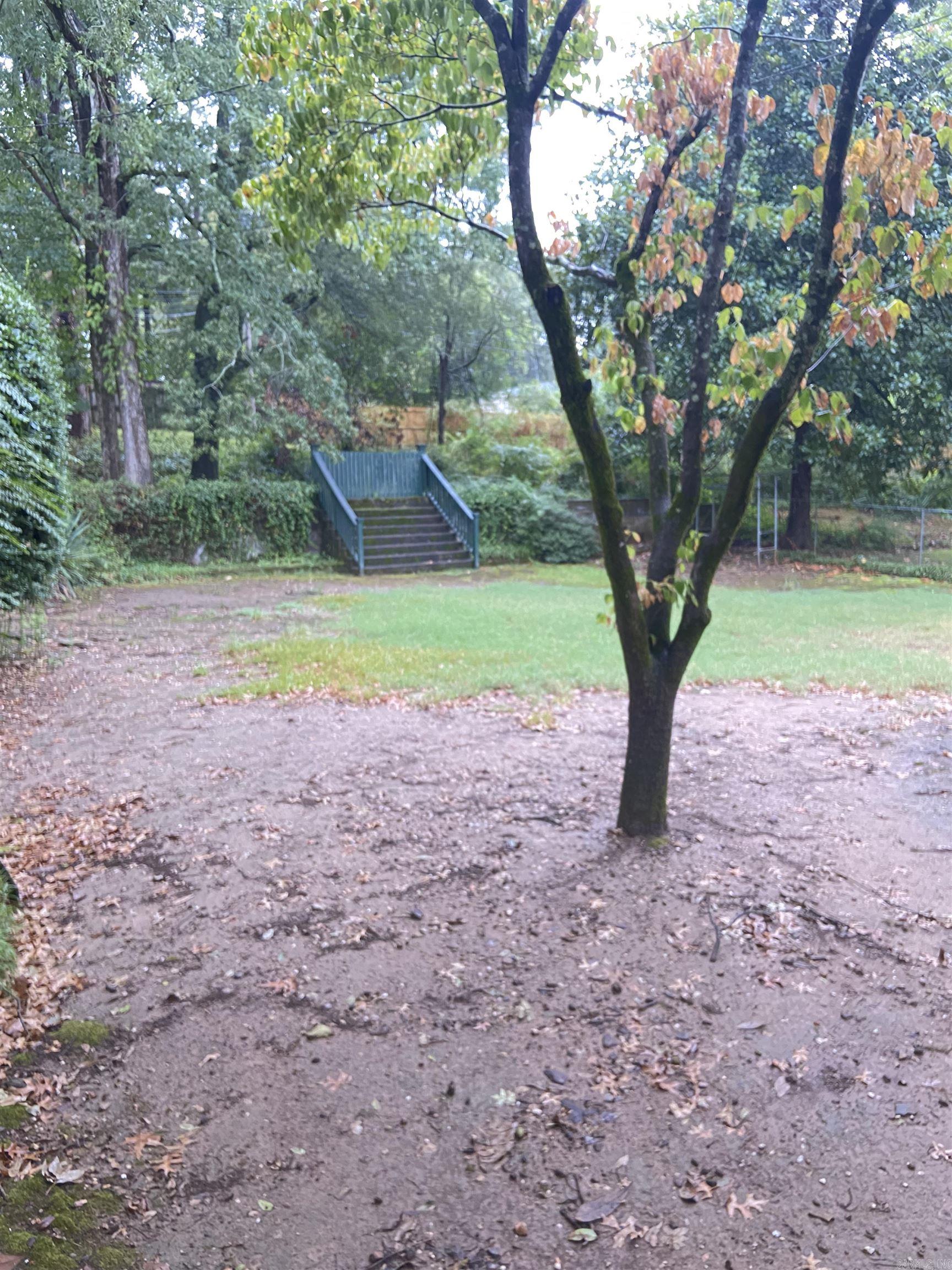3 Lorine  Little Rock, AR