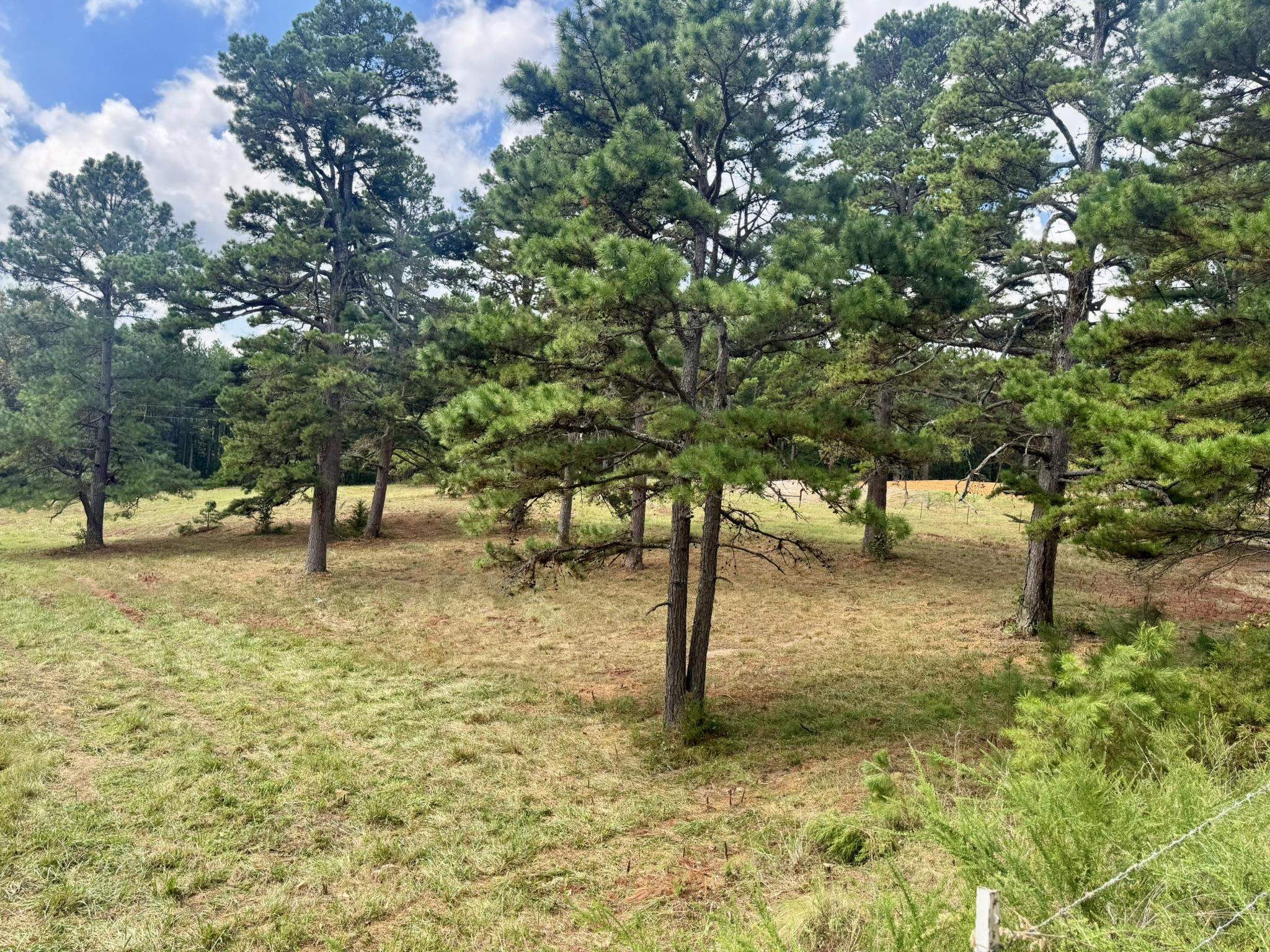 398 Pine Tree Road  Oxford, AR