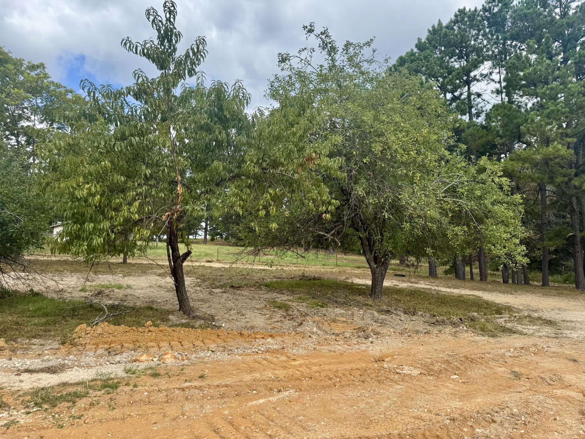 398 Pine Tree Road  Oxford, AR
