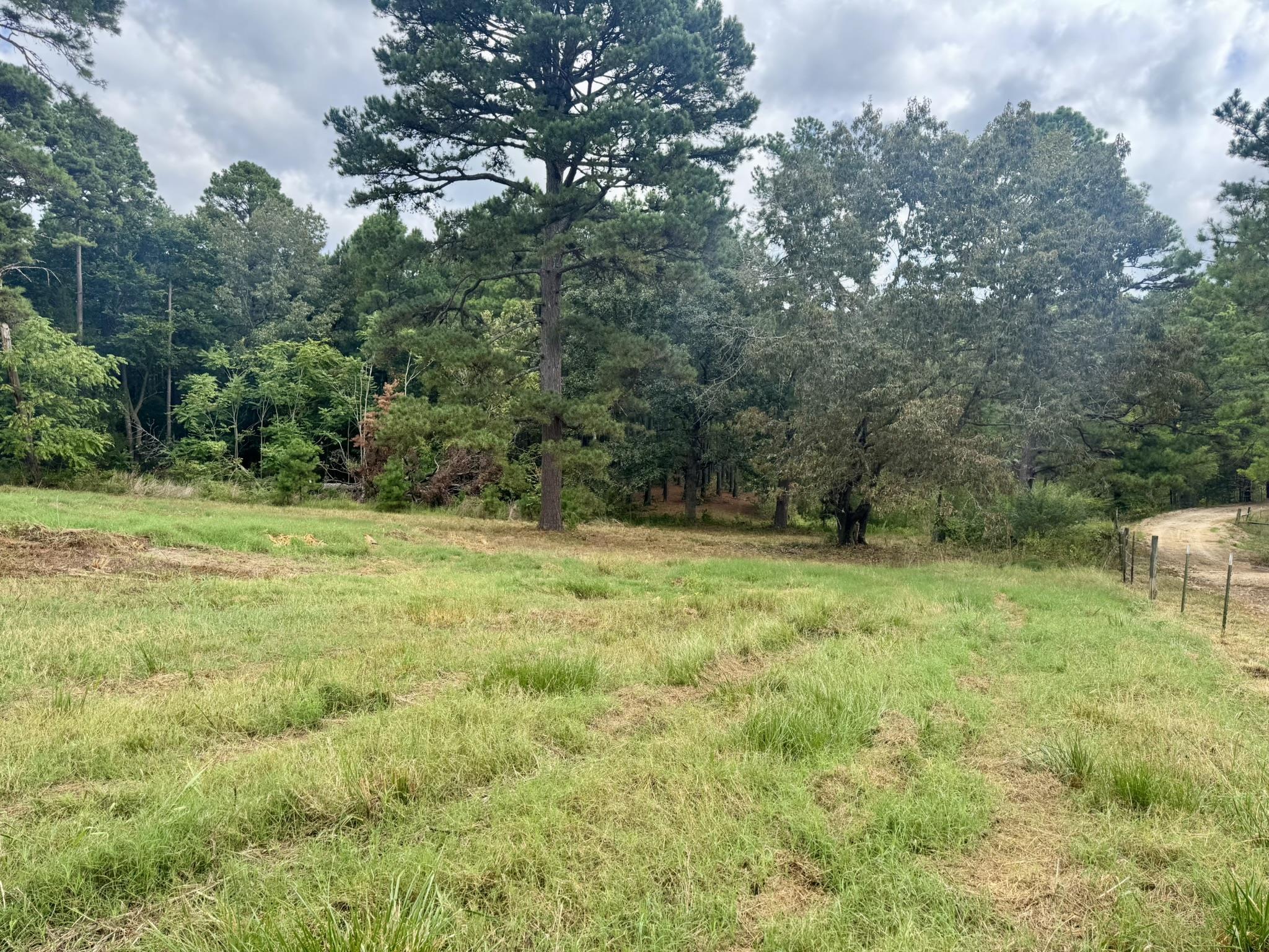 398 Pine Tree Road  Oxford, AR