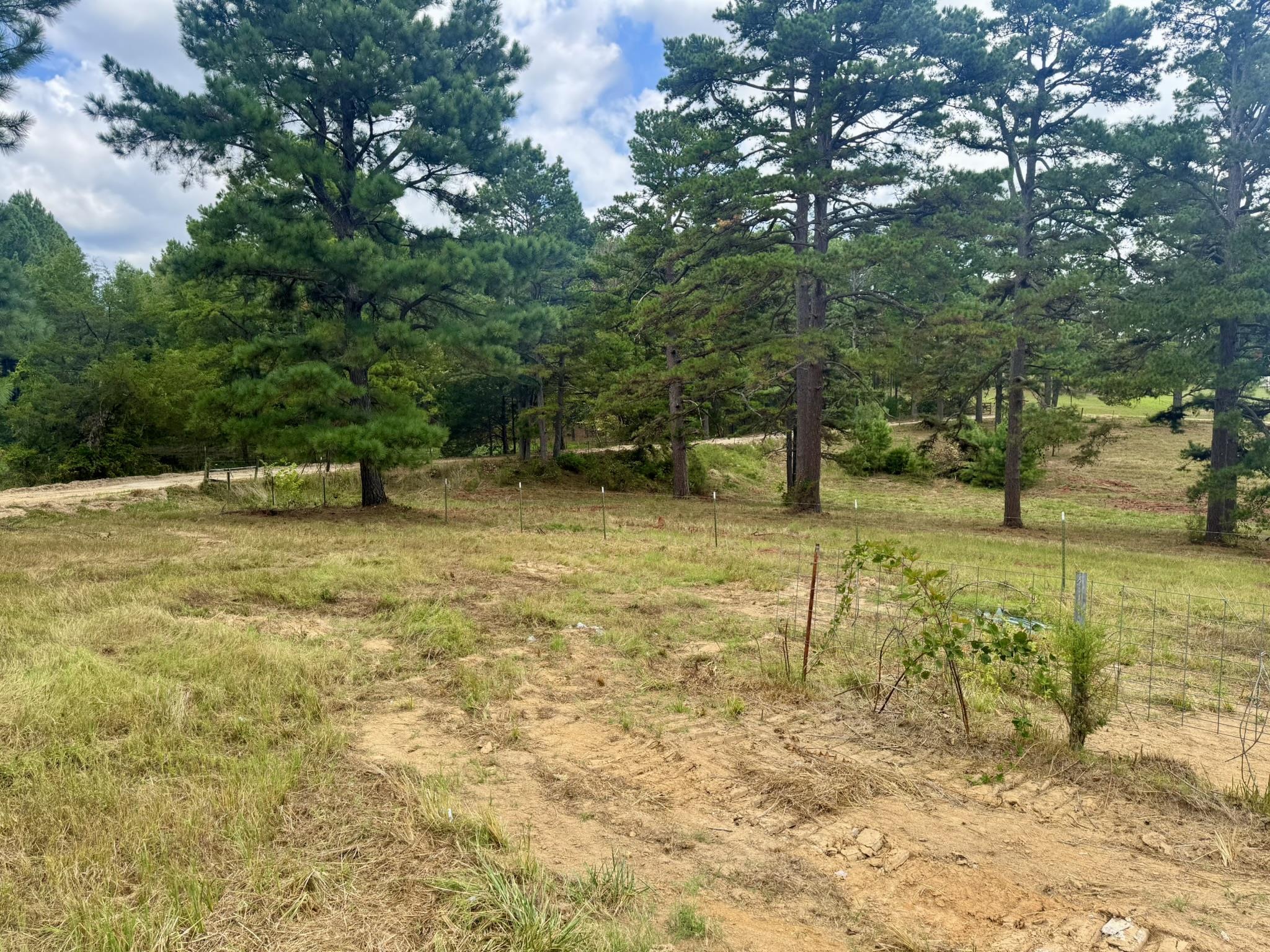 398 Pine Tree Road  Oxford, AR