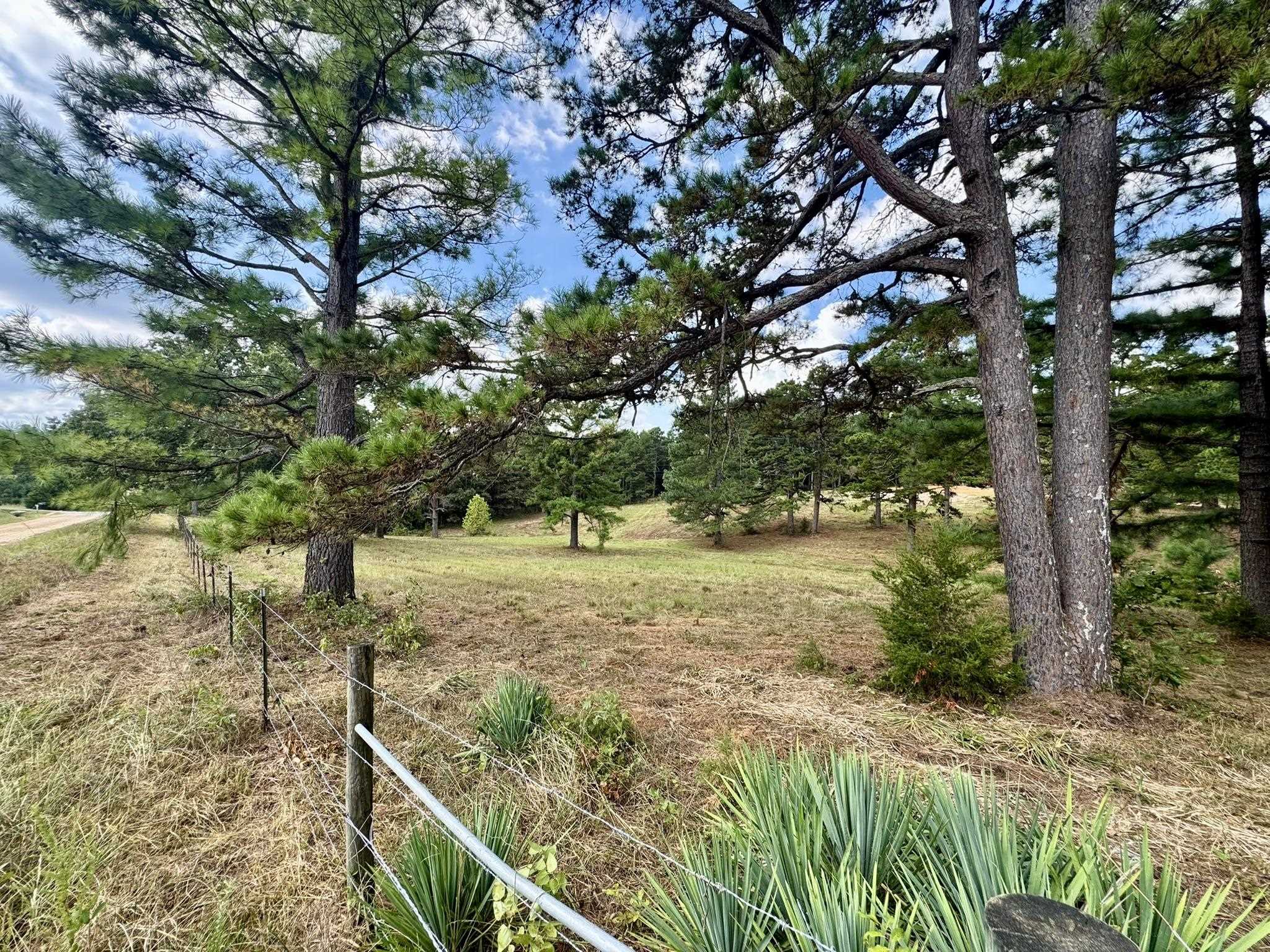 398 Pine Tree Road  Oxford, AR