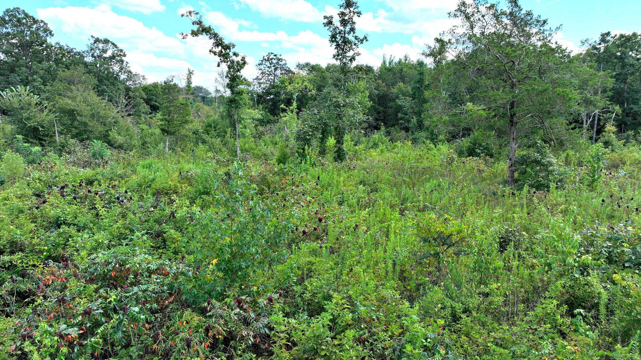TBD Polk Road 676  Mena, AR