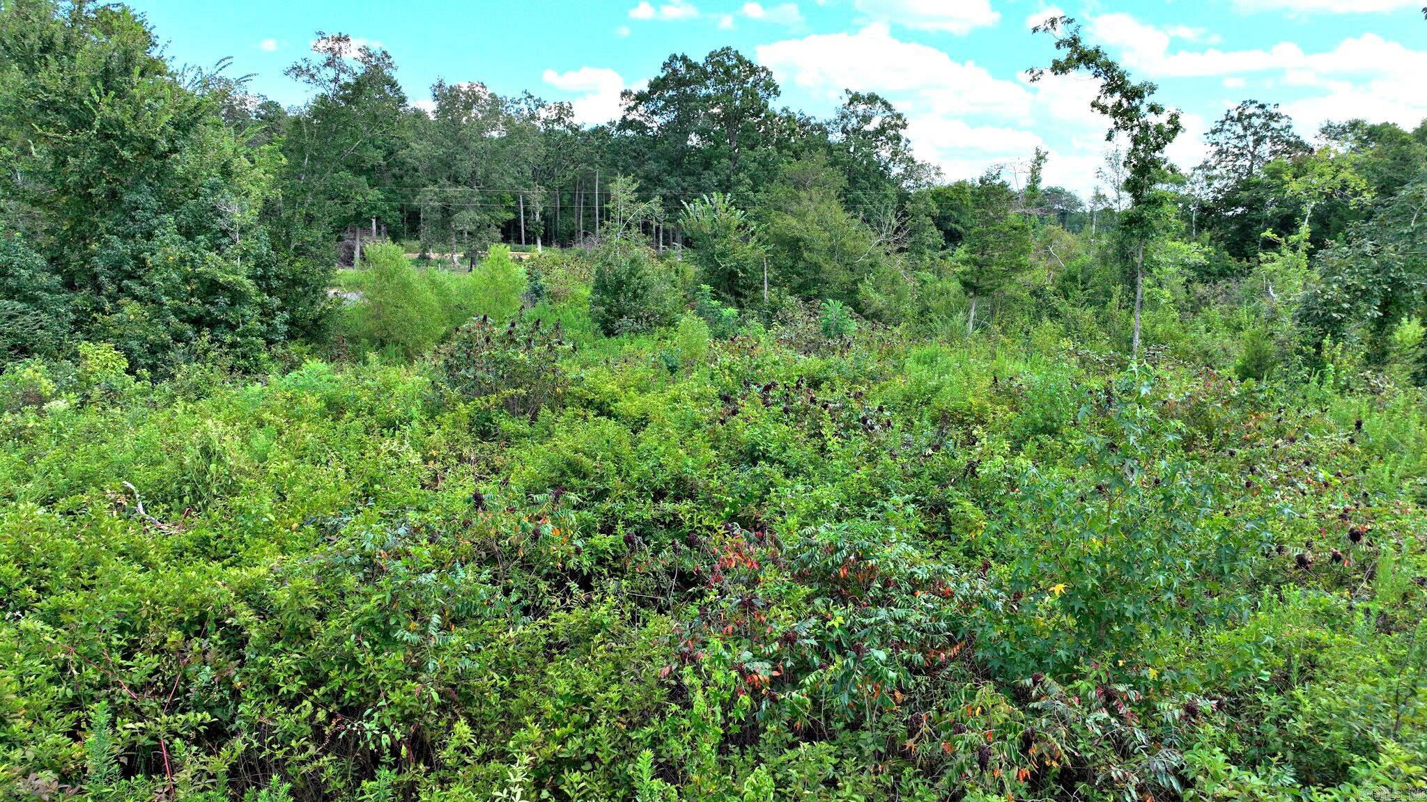 TBD Polk Road 676  Mena, AR