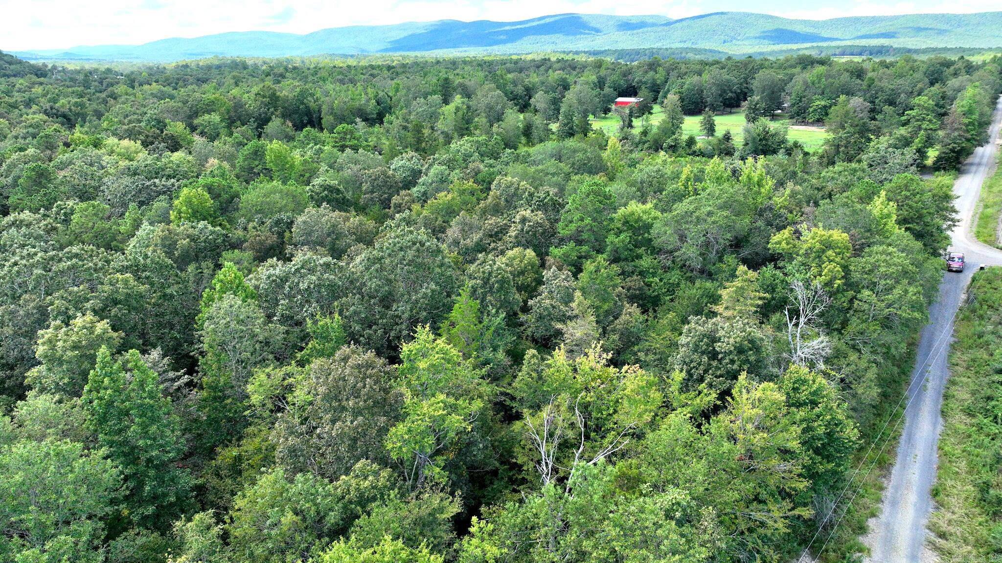 TBD Polk Road 676  Mena, AR