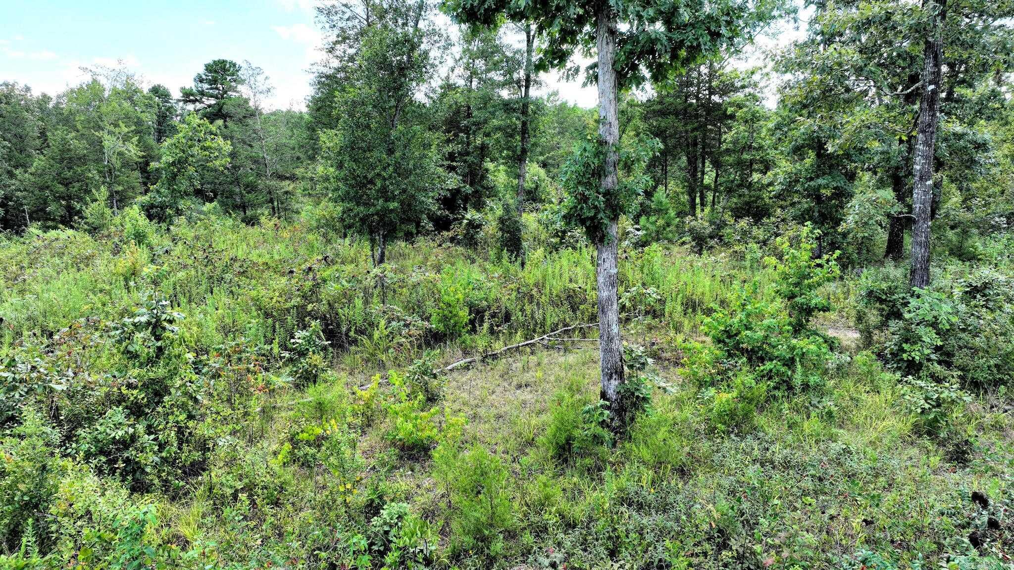 TBD Polk Road 676  Mena, AR