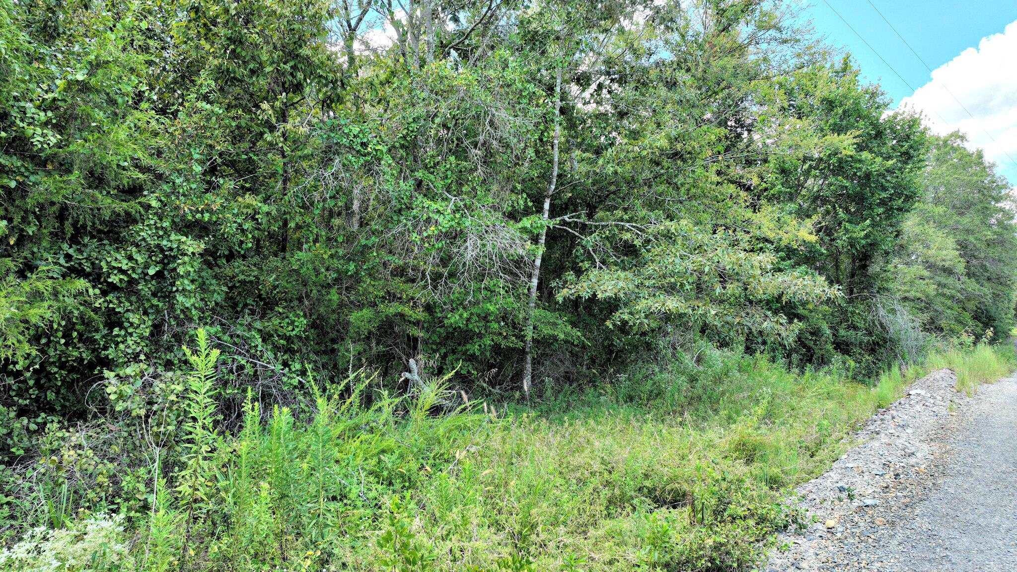 TBD Polk Road 676  Mena, AR