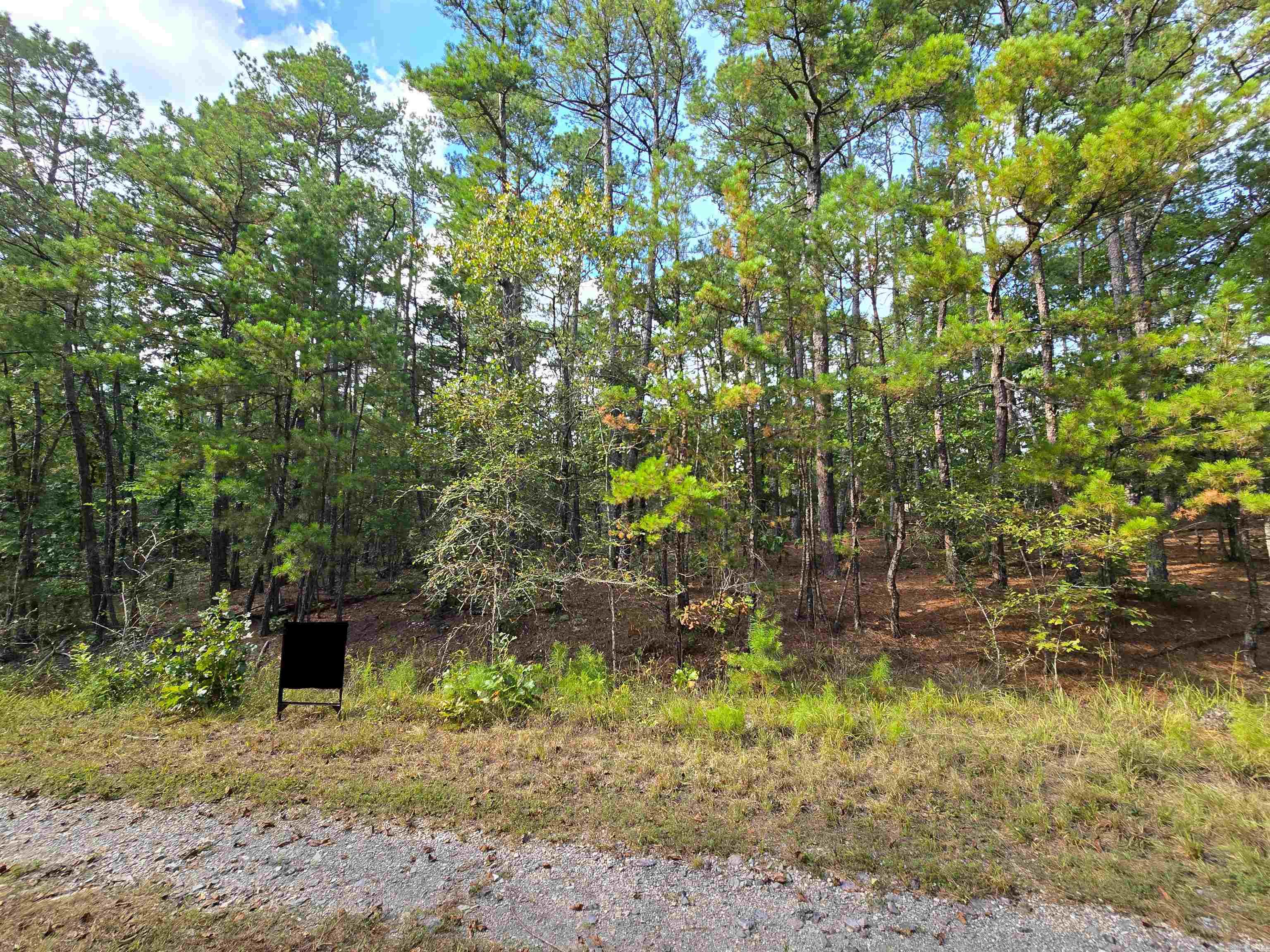 38 Fletante  Hot Springs Village, AR