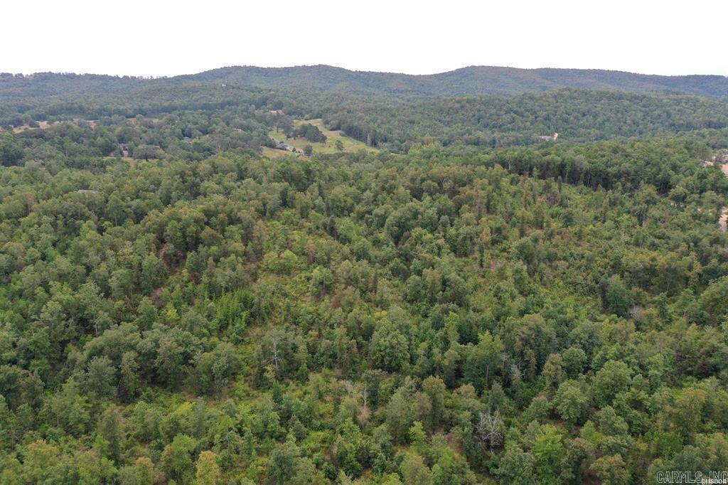 548 Fox Pass  Hot Springs, AR