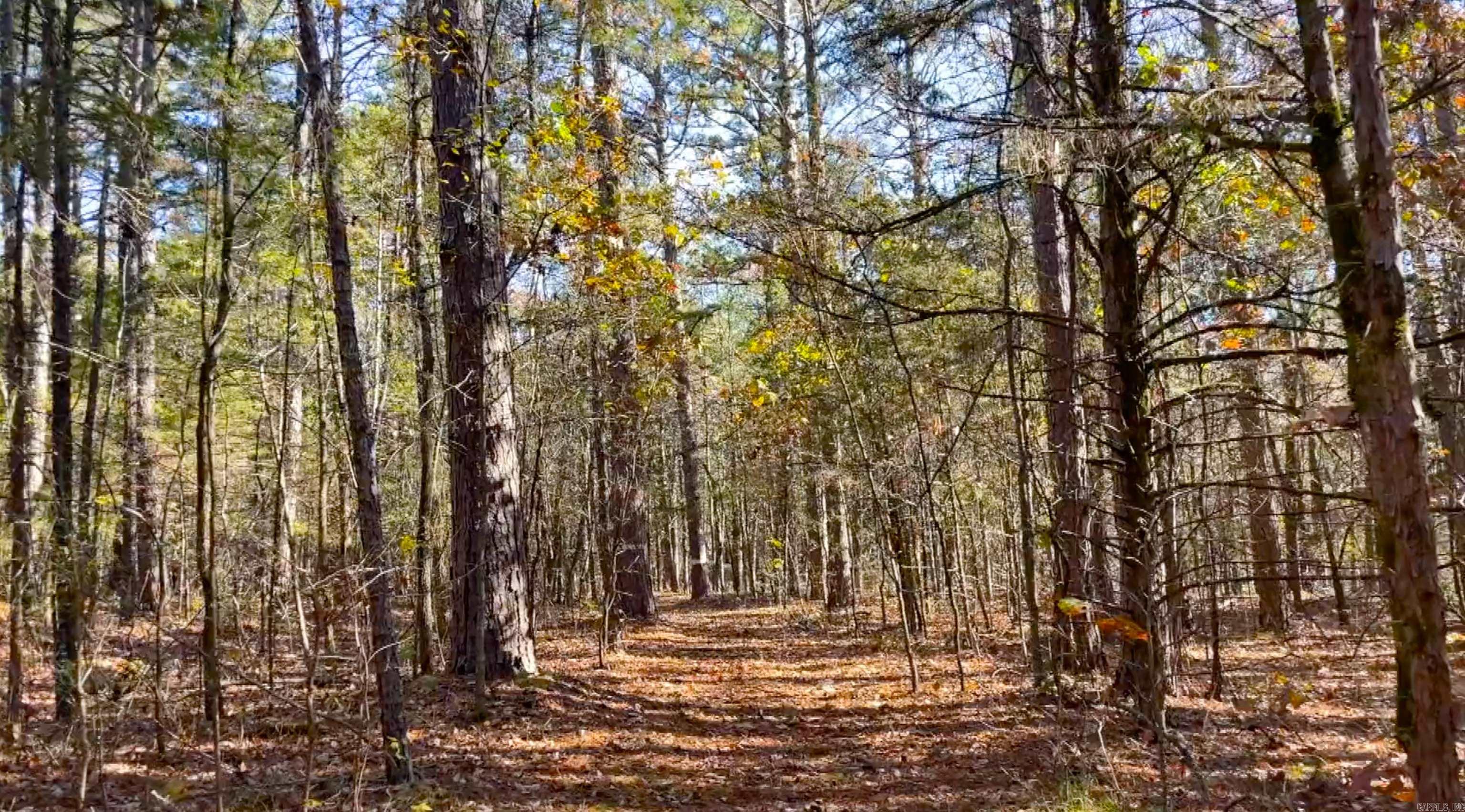 Lot 11 Shiloh Landing Pointe  Greers Ferry, AR