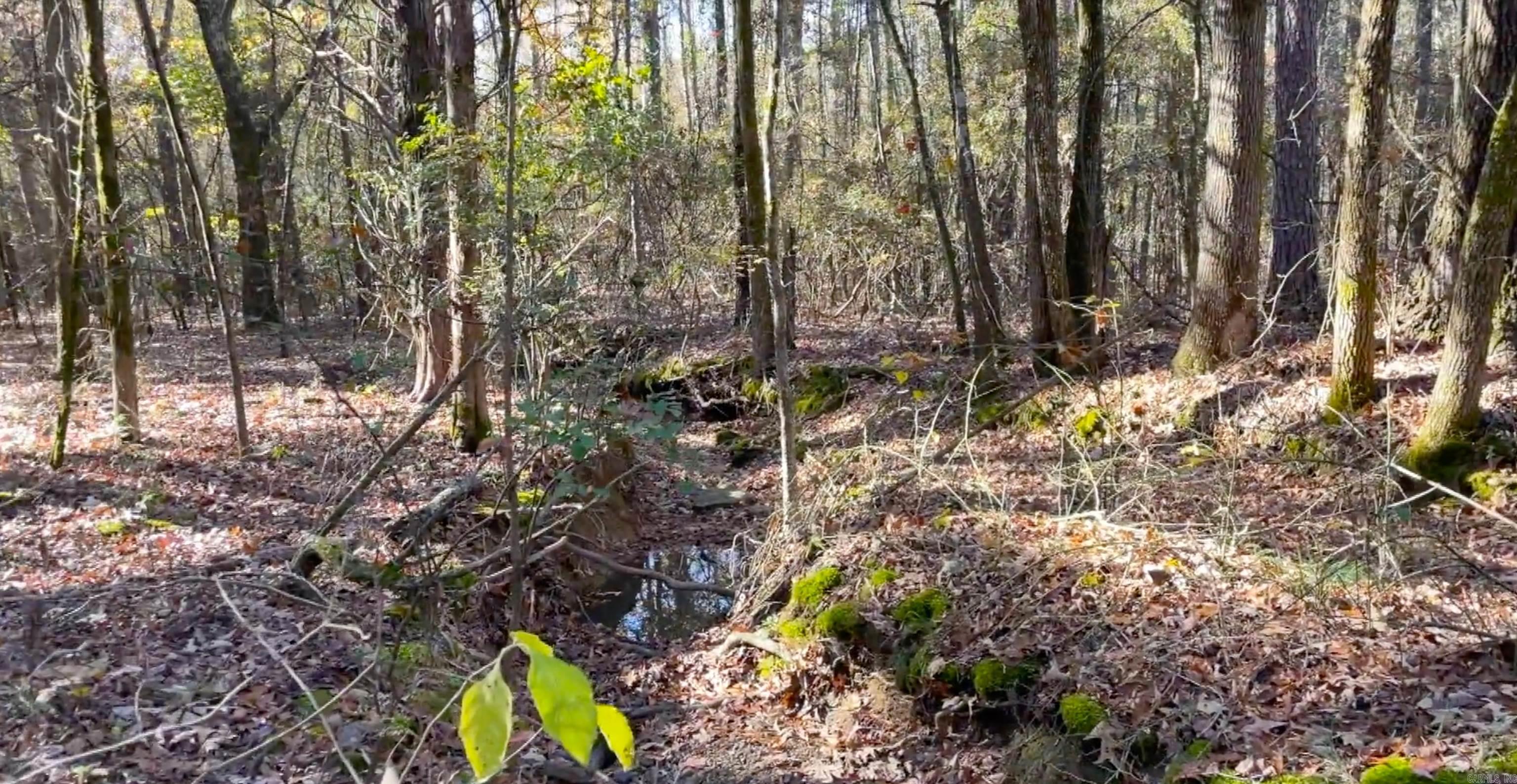 Lot 11 Shiloh Landing Pointe  Greers Ferry, AR