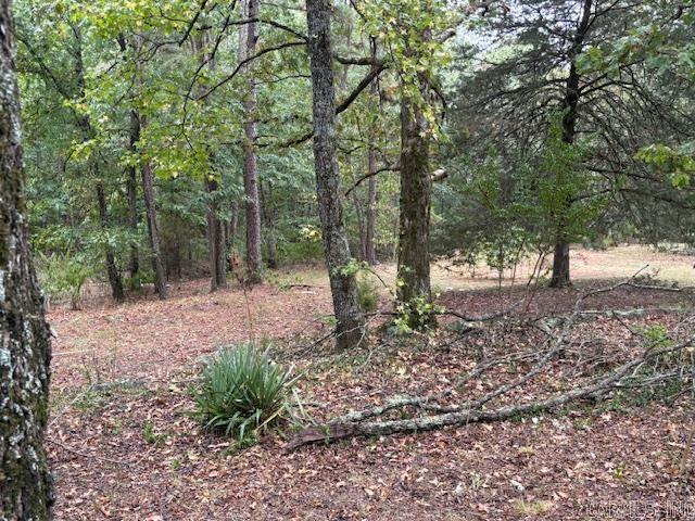 15874 Highway 123  Hagarville, AR