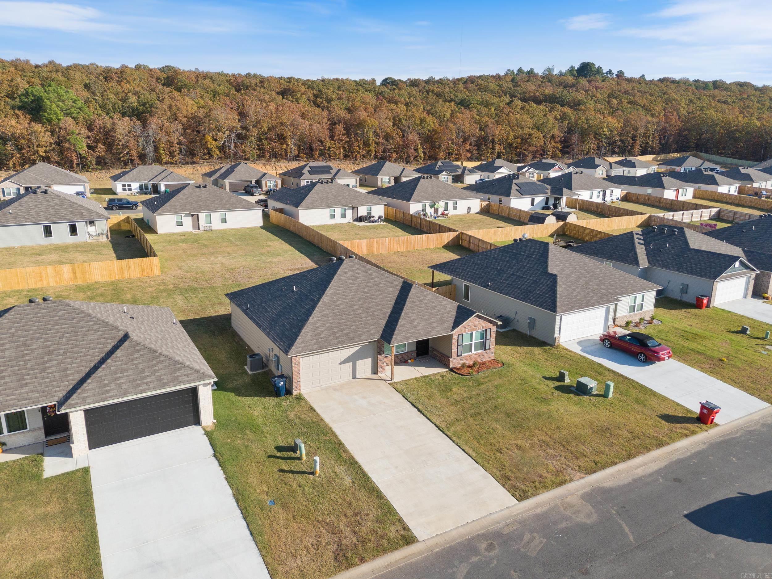19 Curly Leaf  Conway, AR