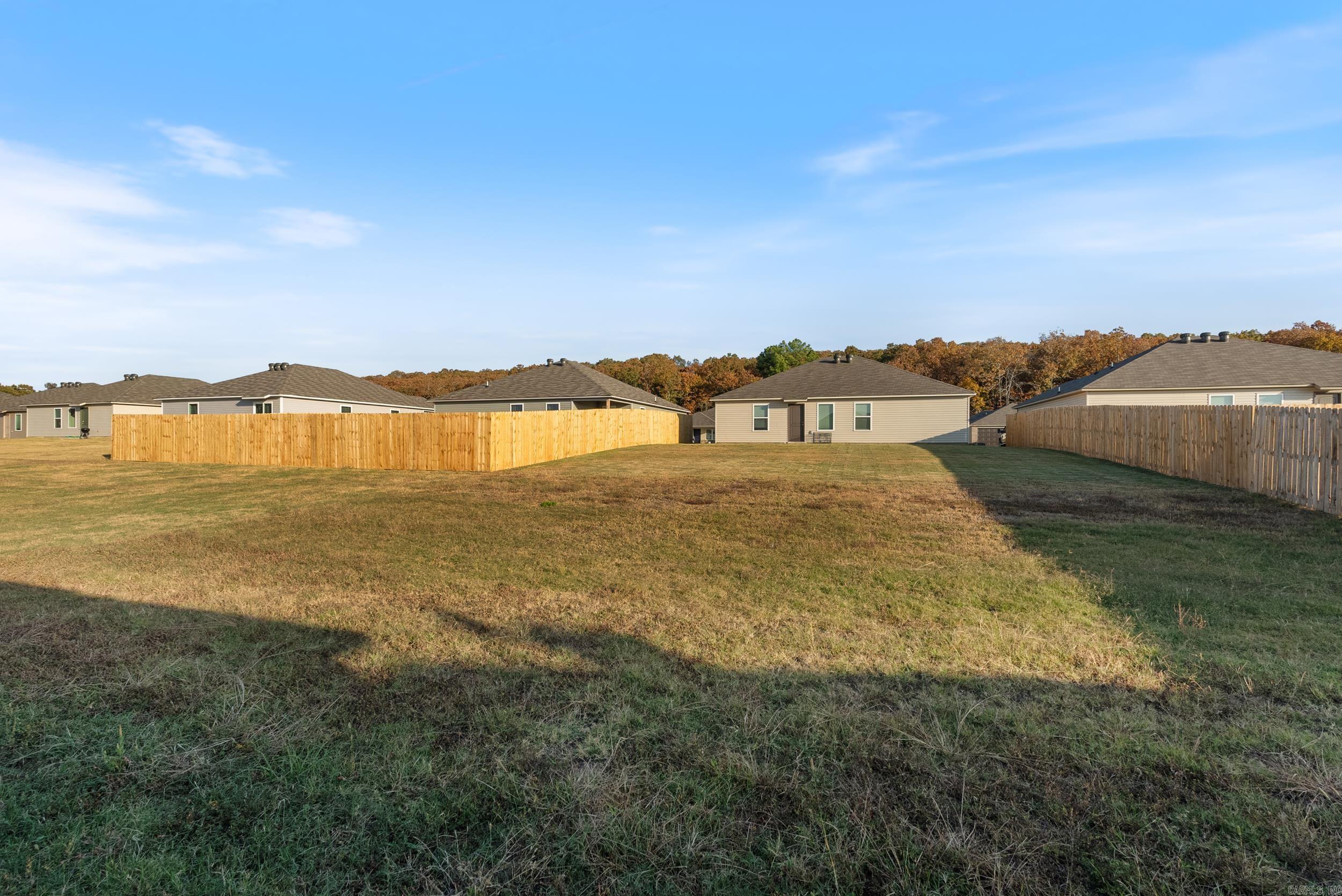 19 Curly Leaf  Conway, AR