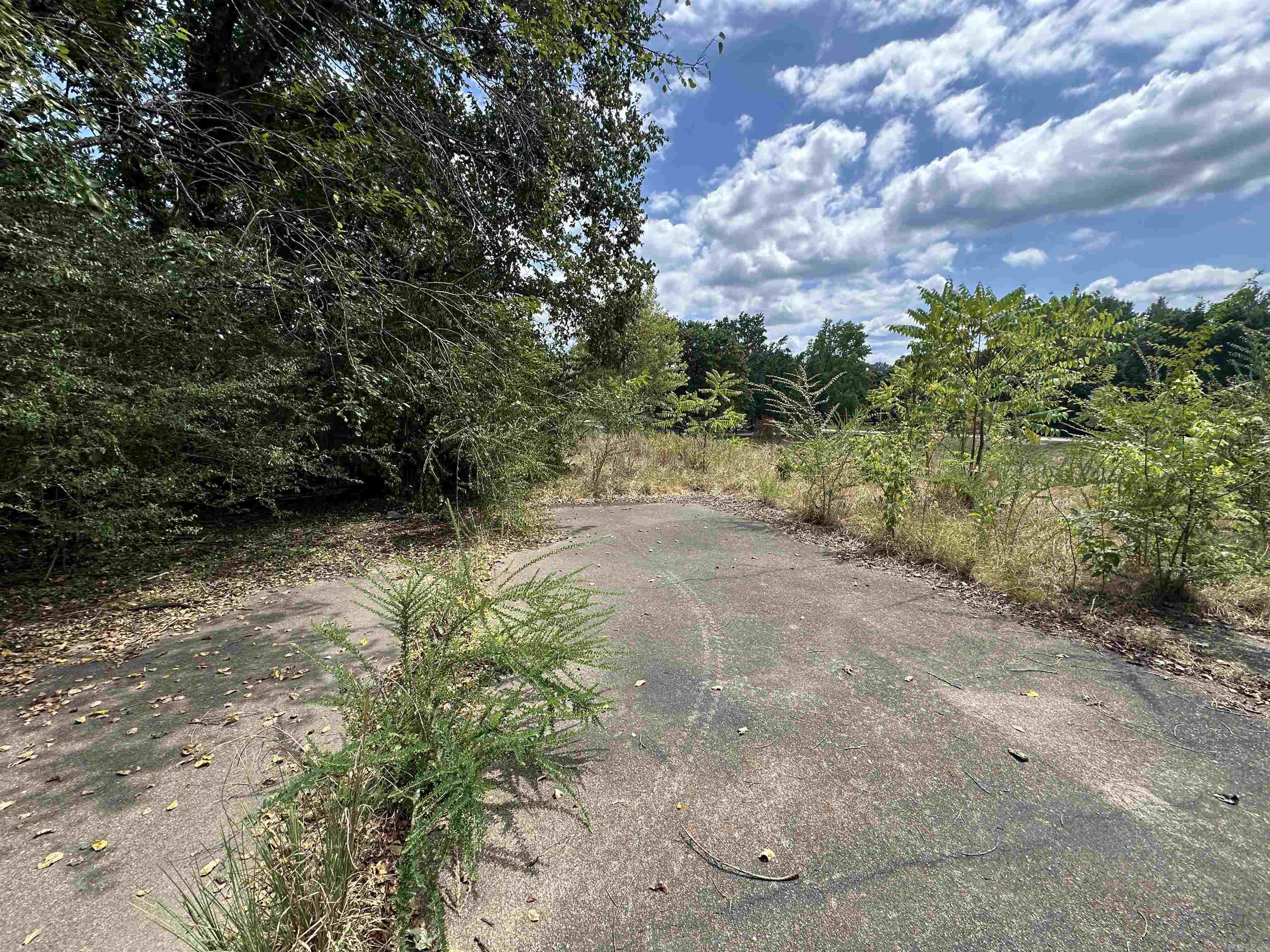 46 White River Lane  Flippin, AR