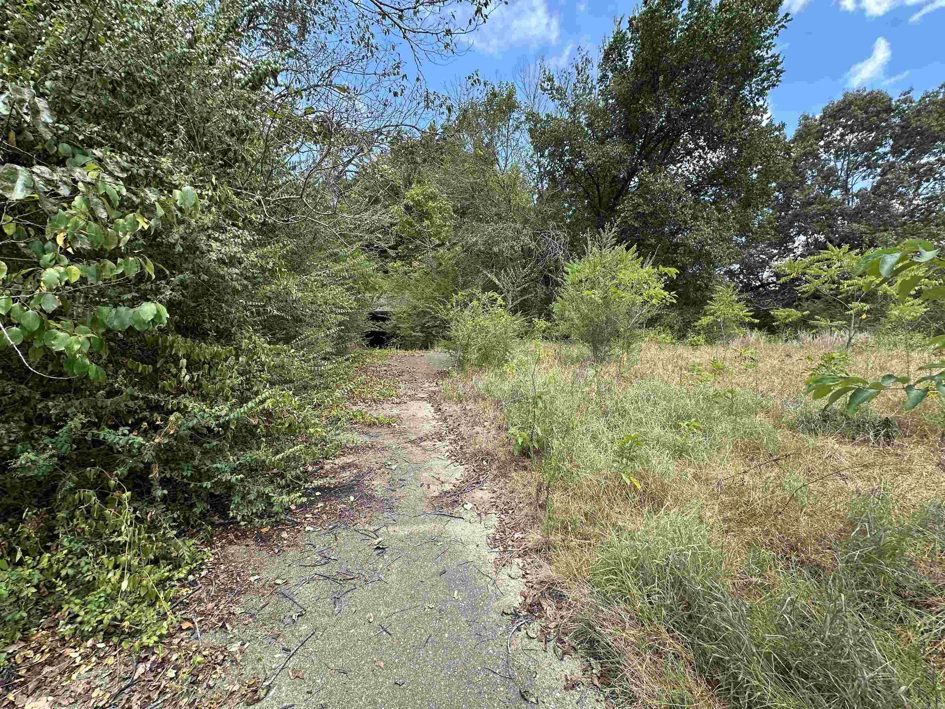 46 White River Lane  Flippin, AR