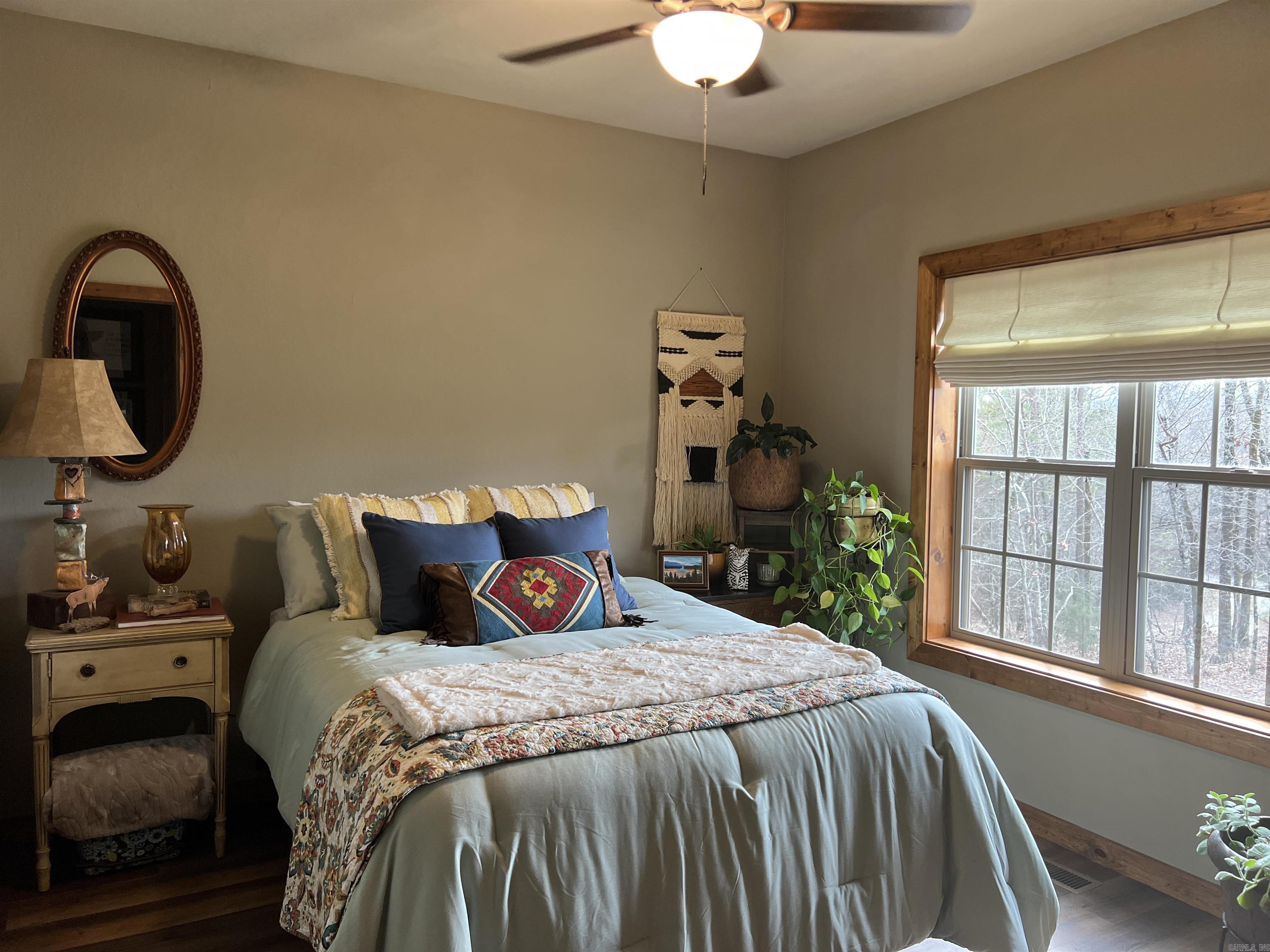 46 Hawkeye  Mount Ida, AR