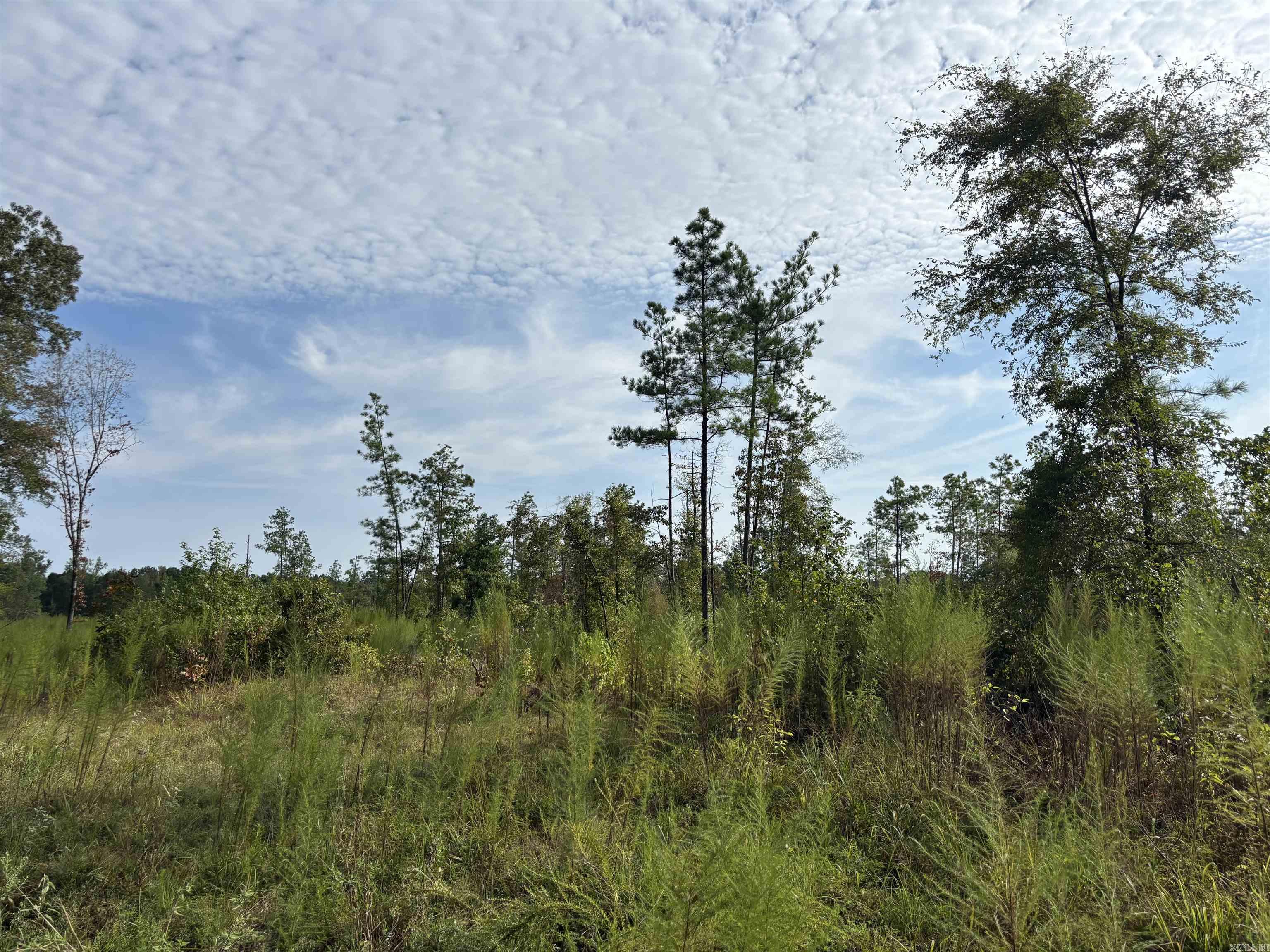North Tract Grant County Road 68  Sheridan, AR