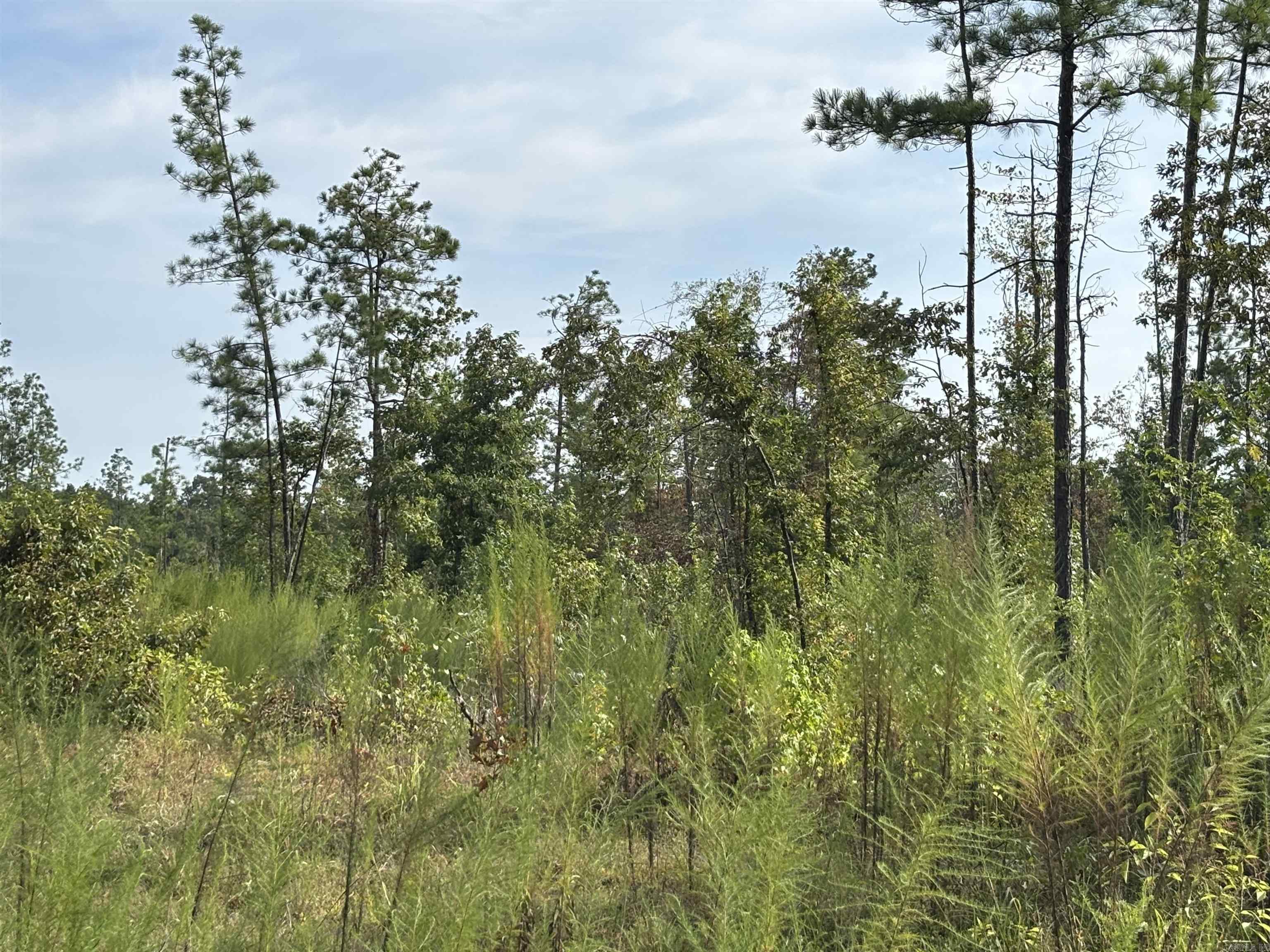 North Tract Grant County Road 68  Sheridan, AR