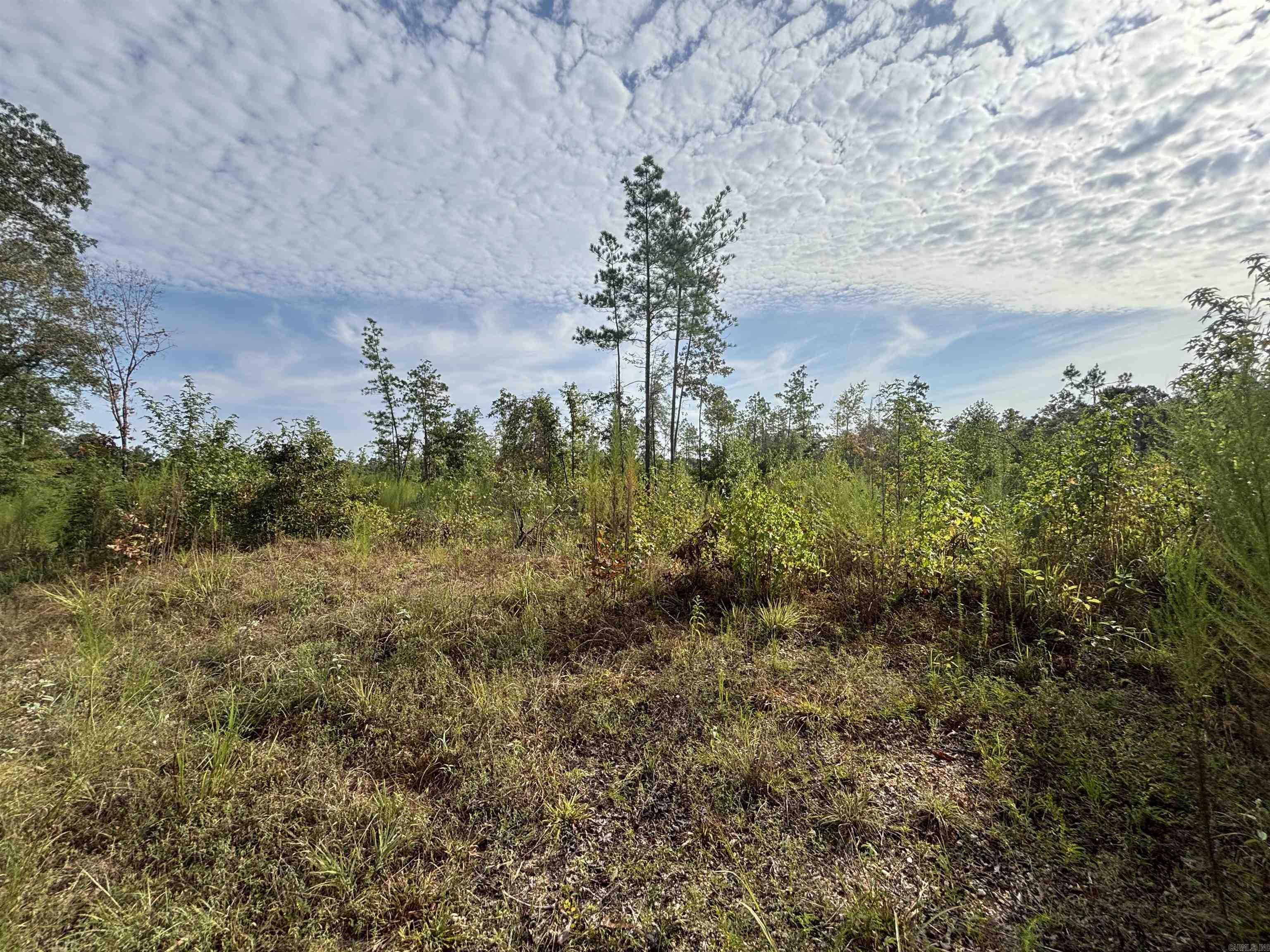 North Tract Grant County Road 68  Sheridan, AR