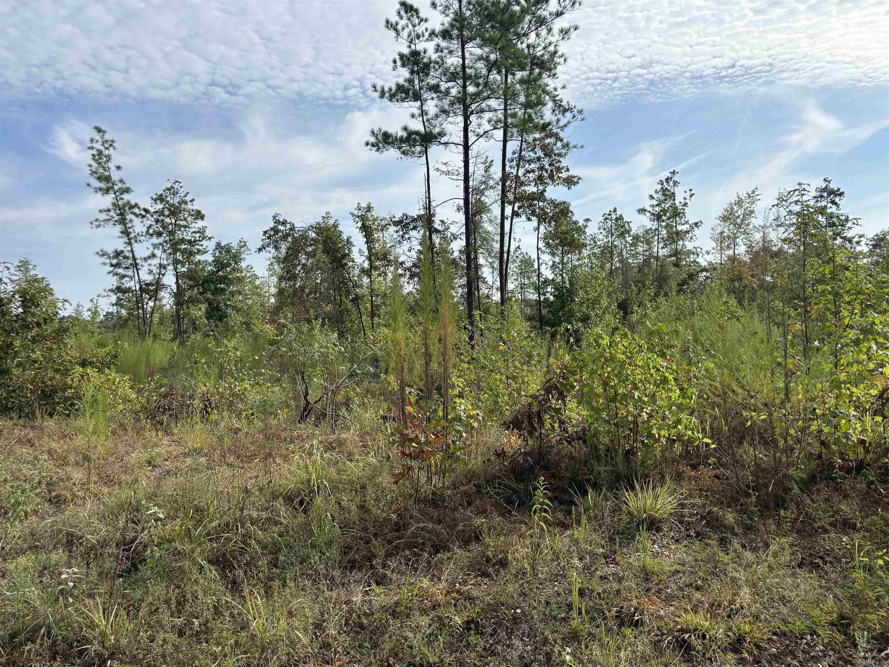 North Tract Grant County Road 68  Sheridan, AR