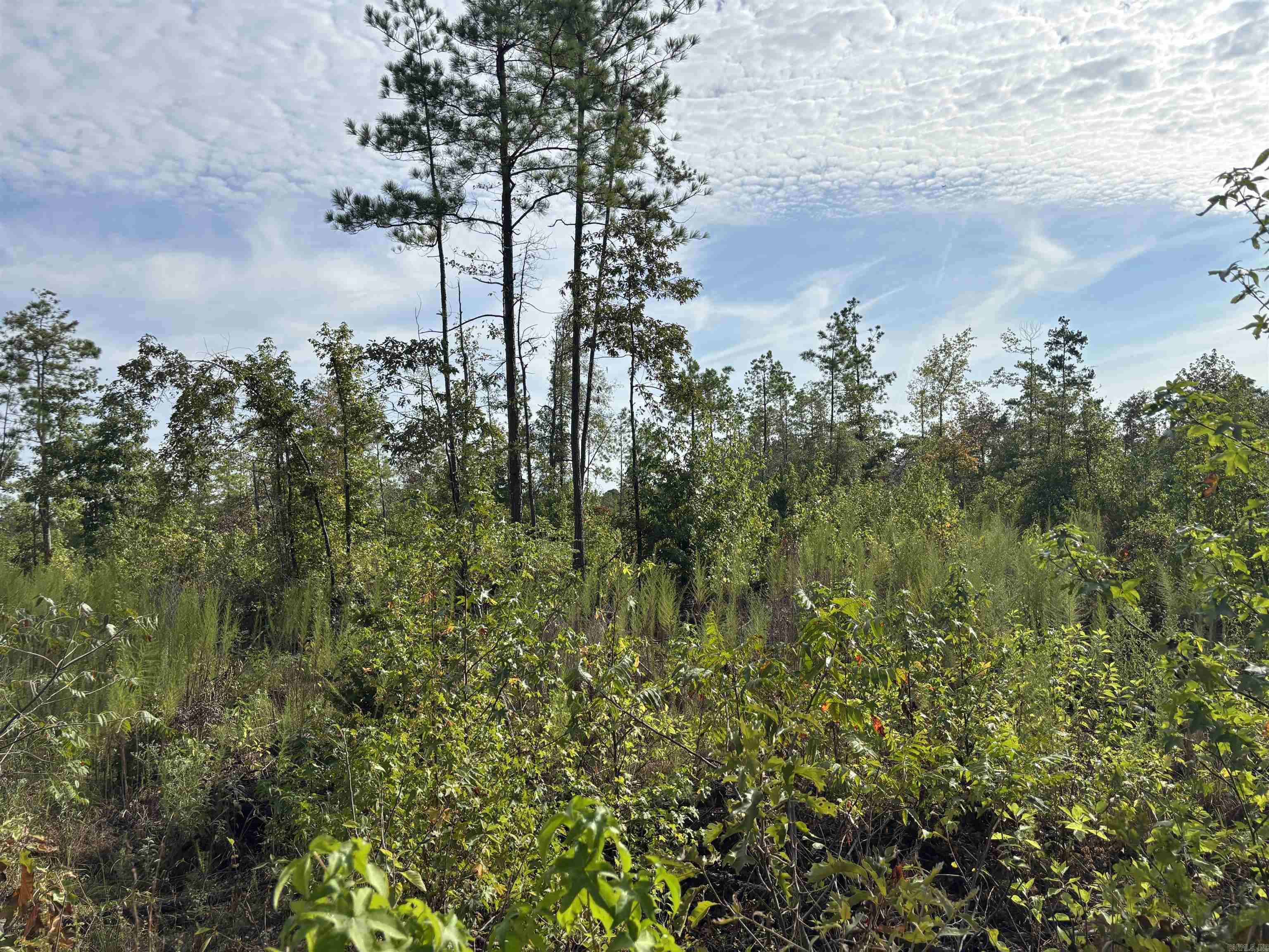North Tract Grant County Road 68  Sheridan, AR