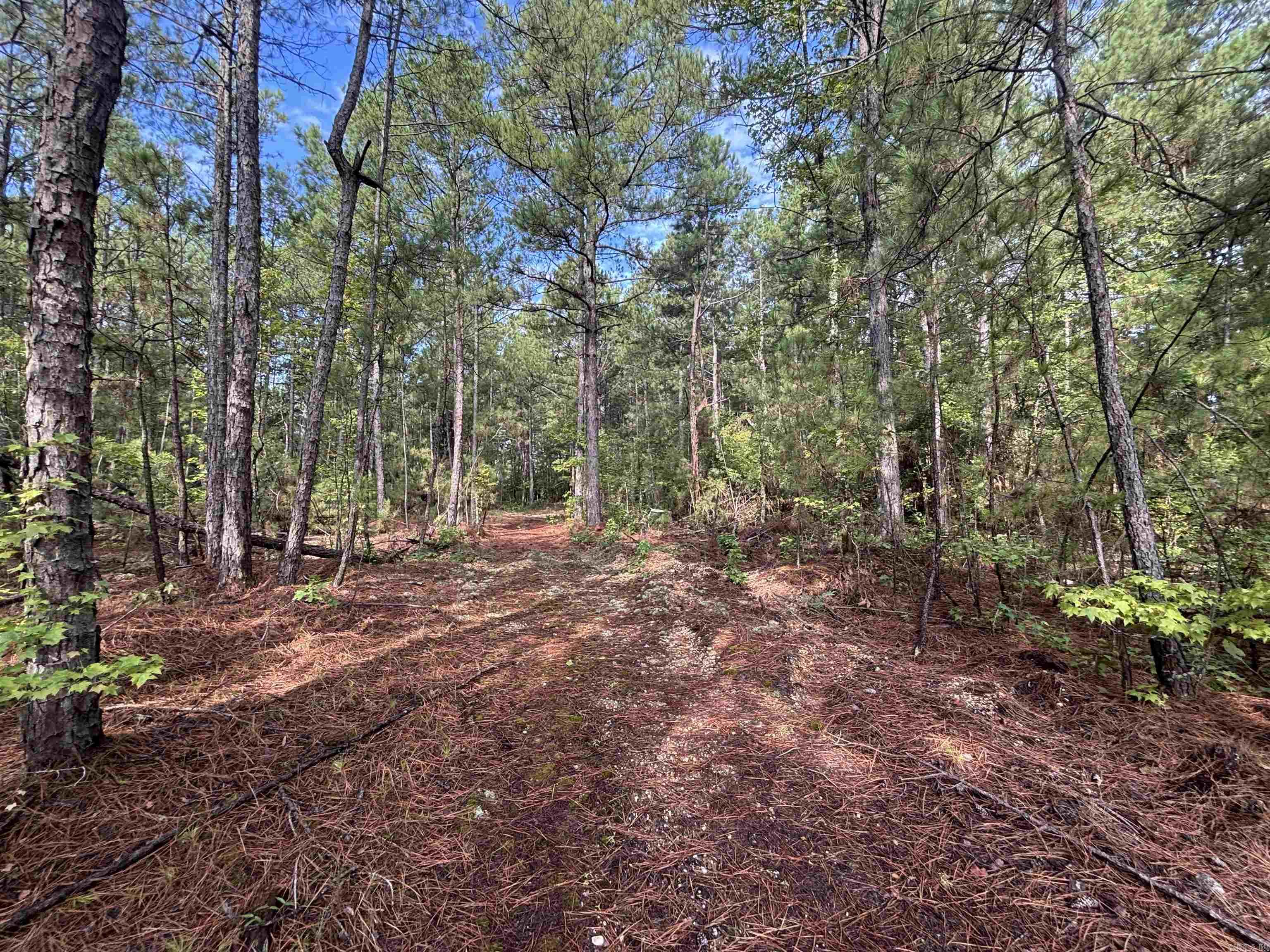 South Tract Grant County Road 68  Sheridan, AR