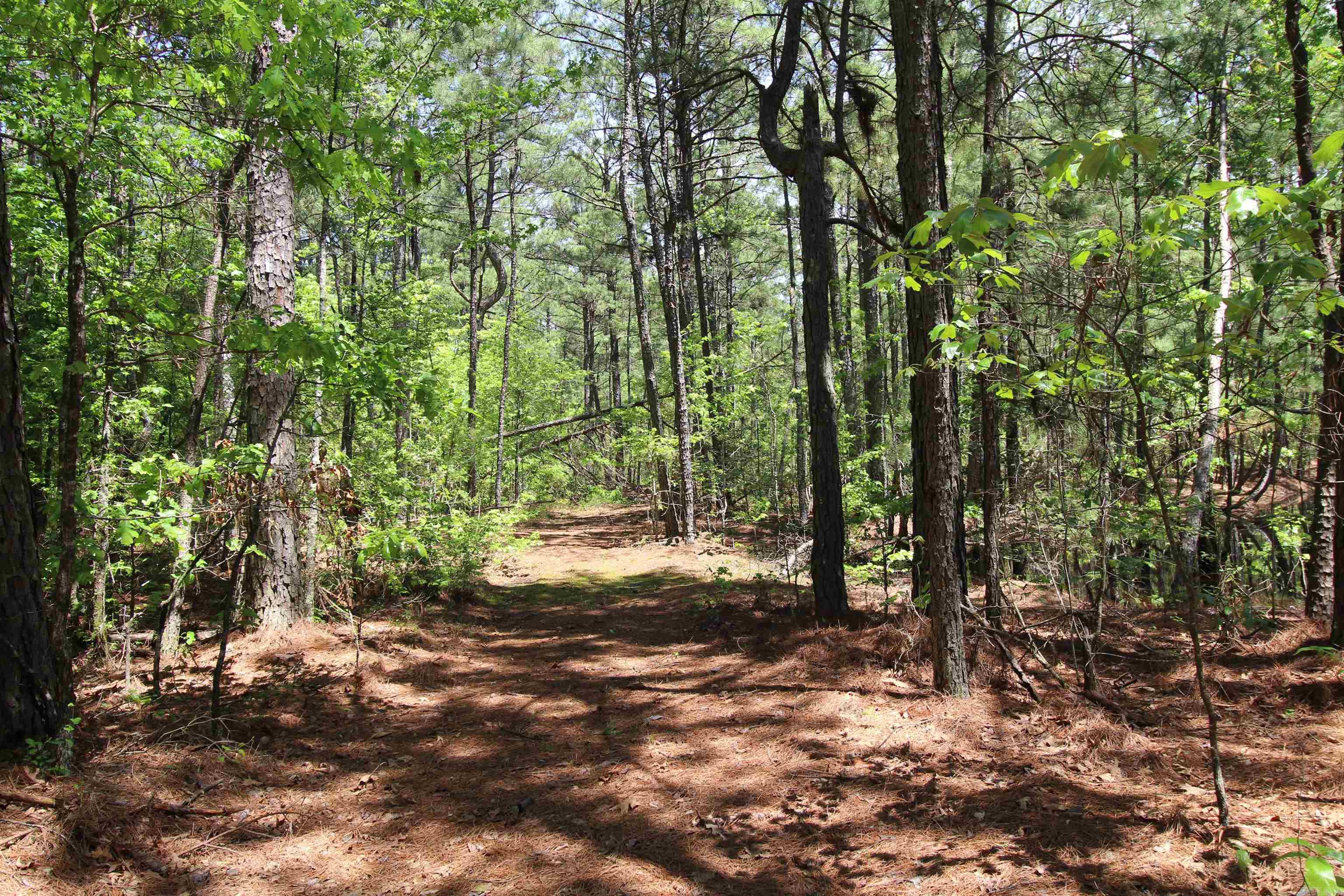 South Tract Grant County Road 68  Sheridan, AR