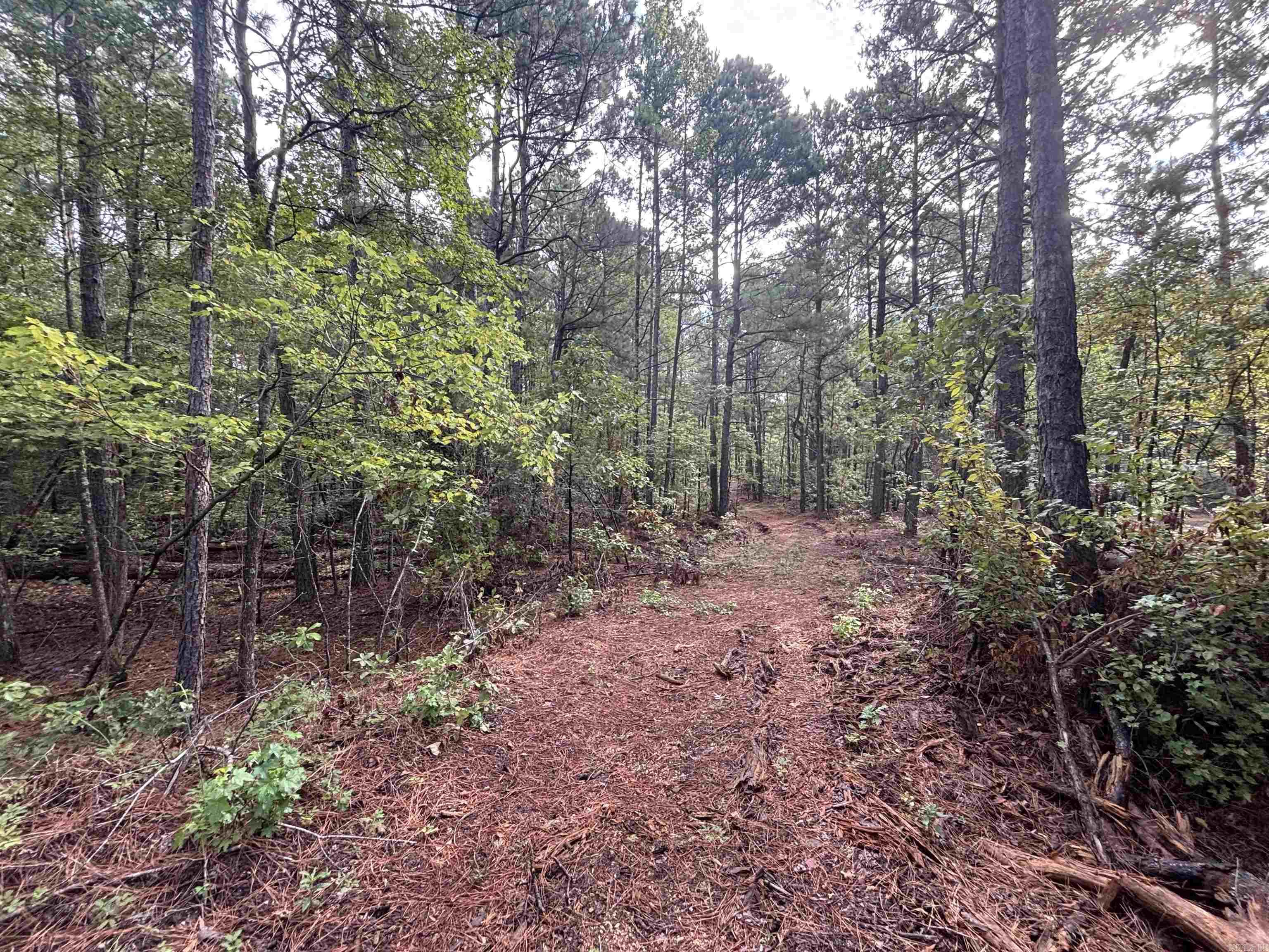 South Tract Grant County Road 68  Sheridan, AR
