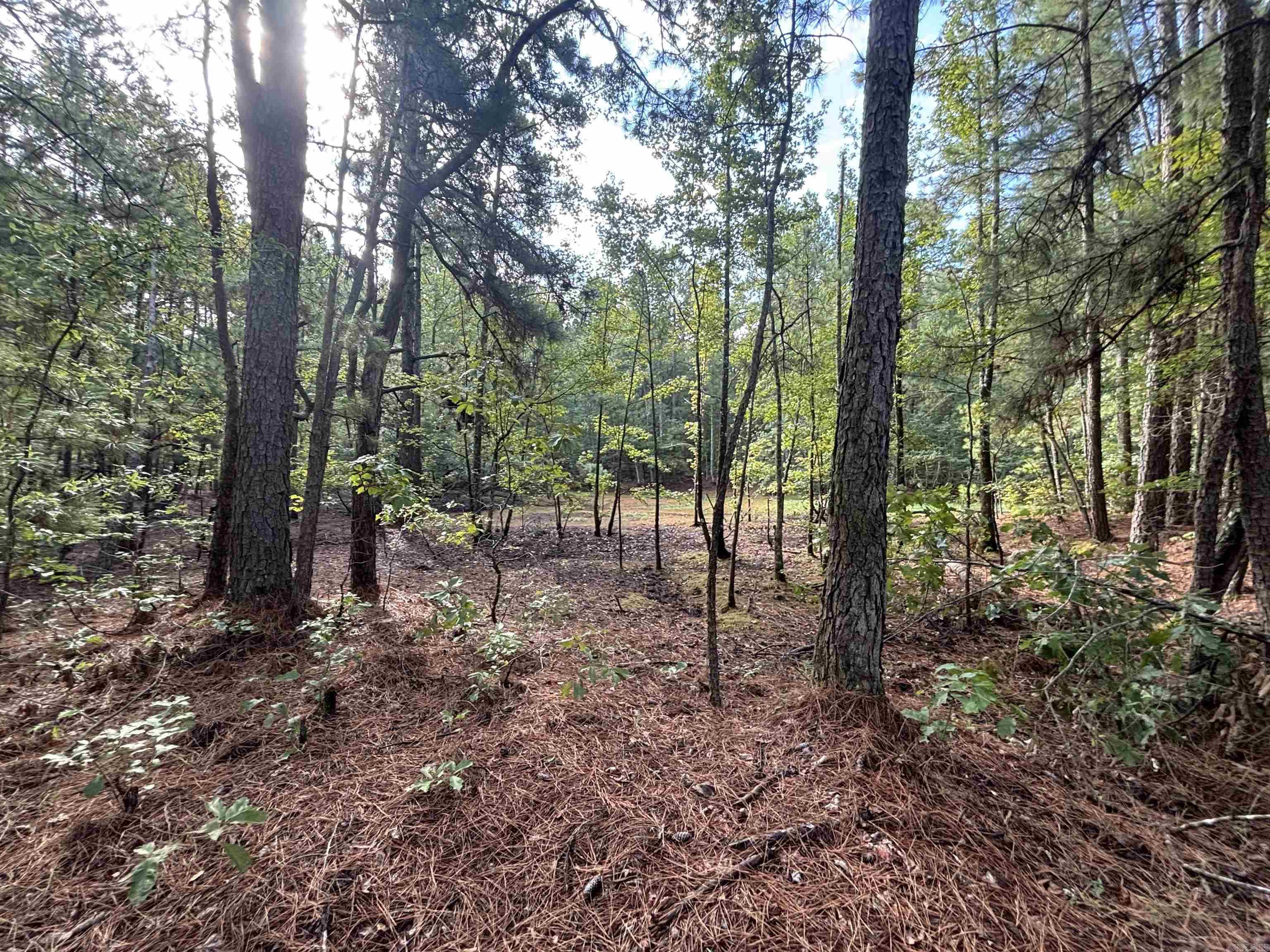 South Tract Grant County Road 68  Sheridan, AR