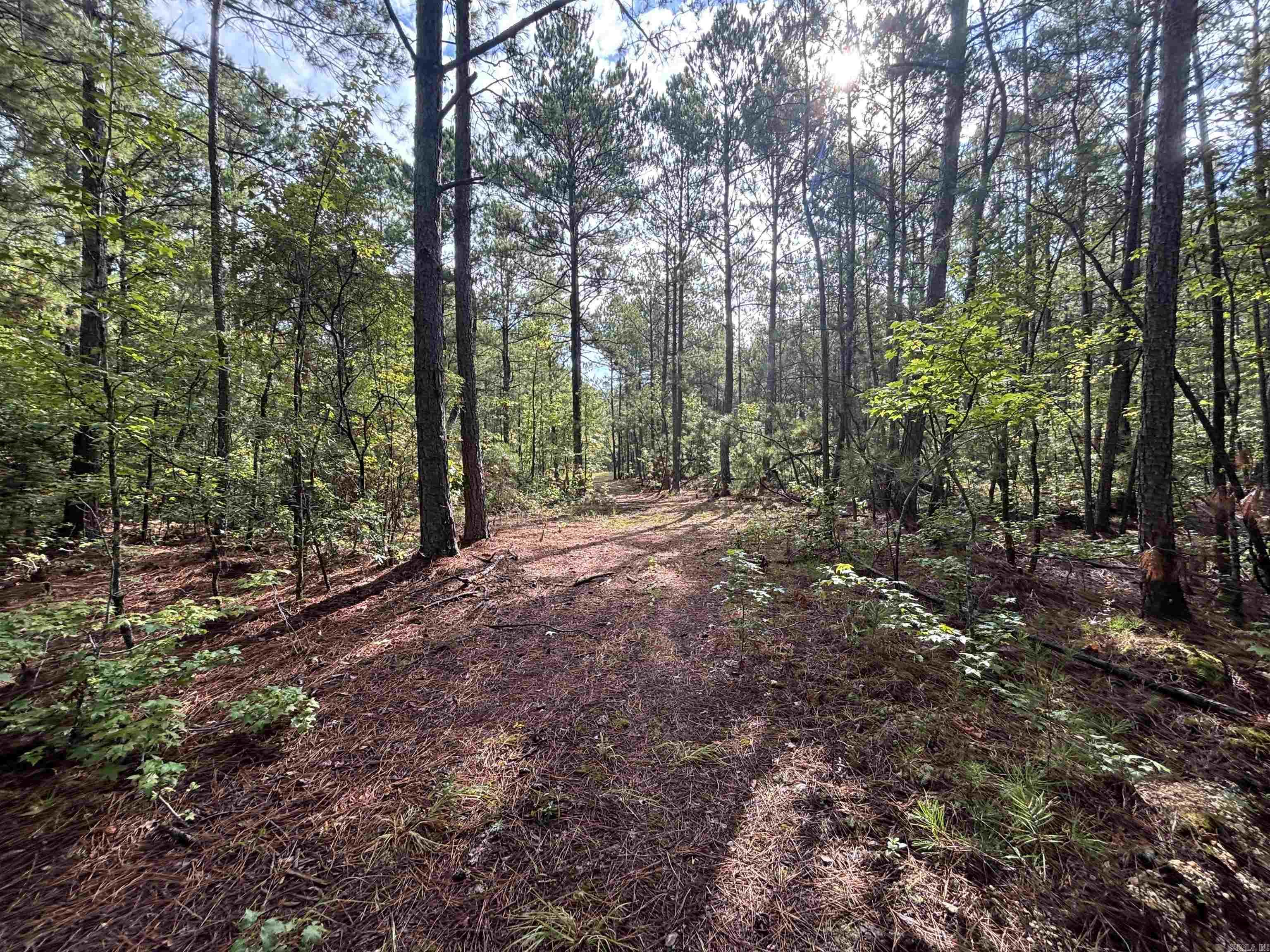 South Tract Grant County Road 68  Sheridan, AR